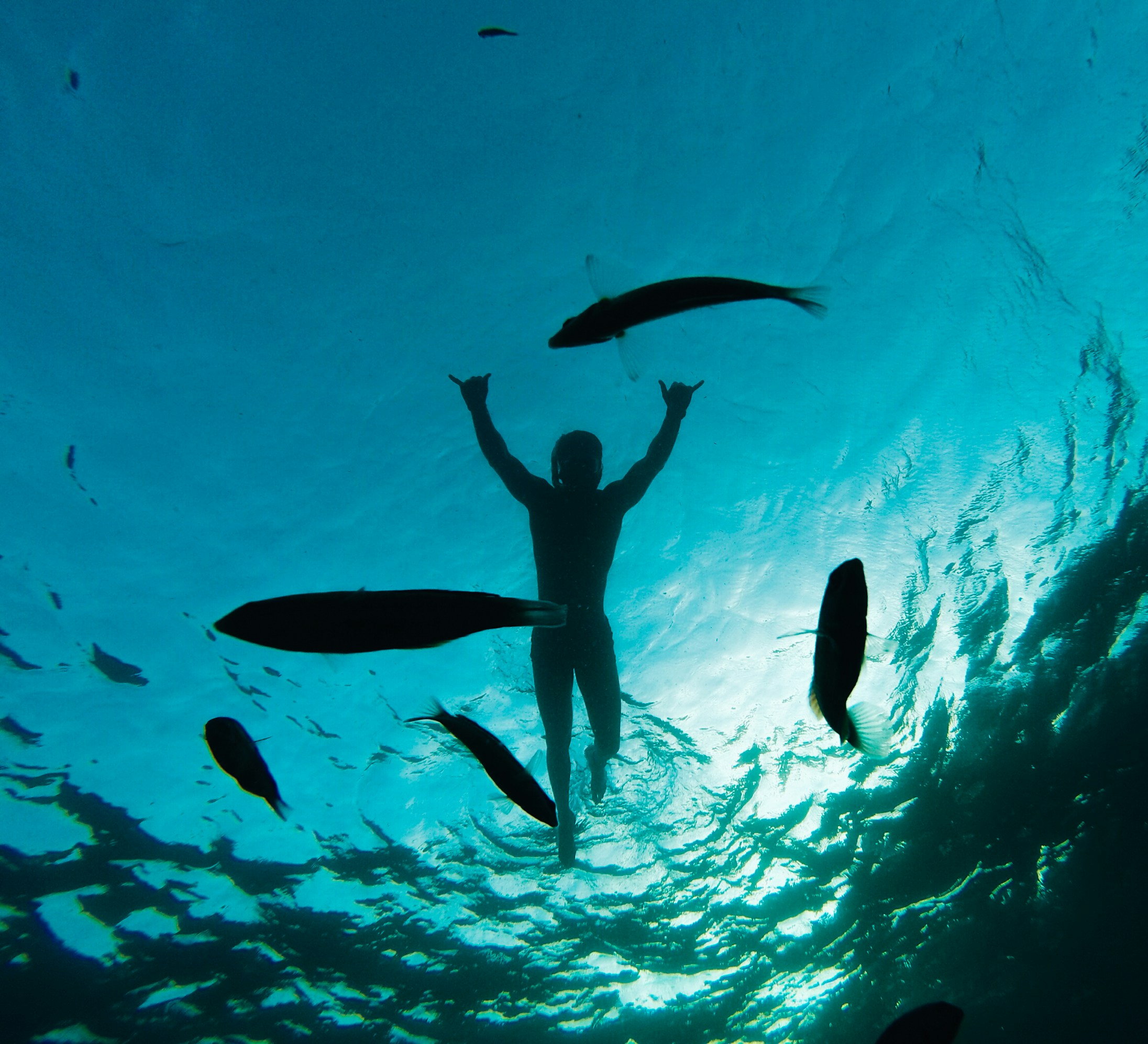 Freediver Underwater With Fish