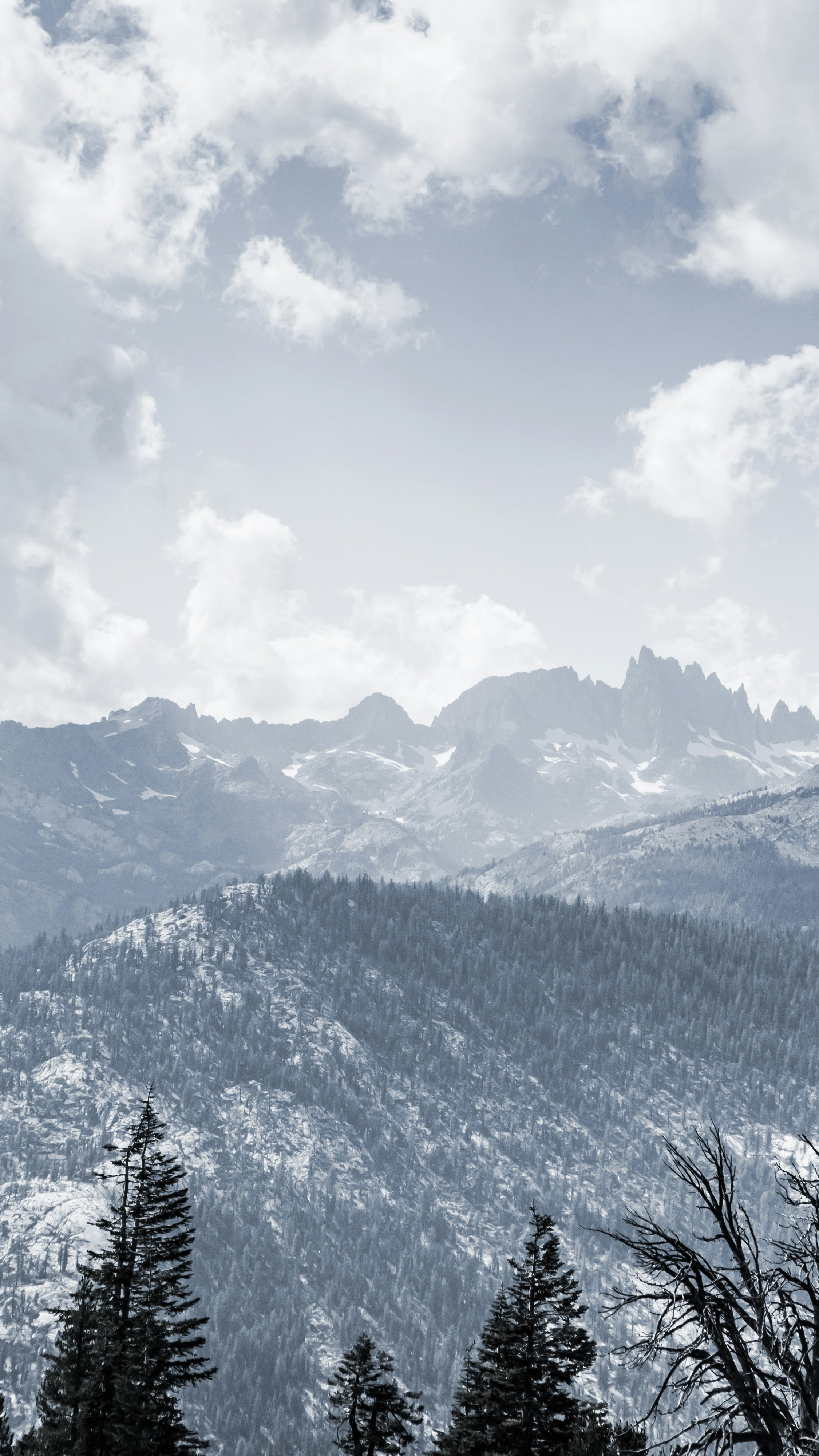 Overcast Mountain Forest Landscape