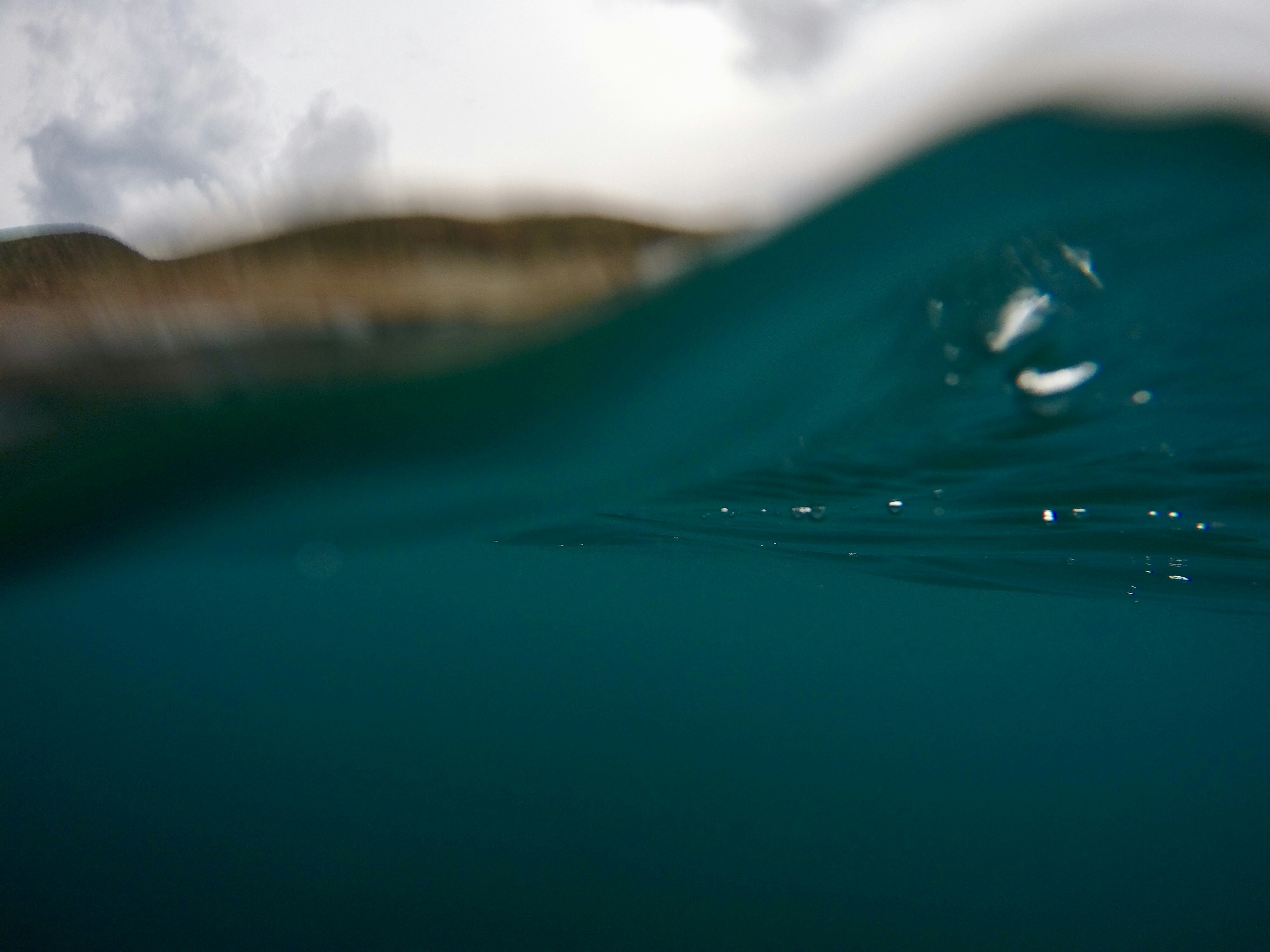 Coastal Sea Wave Close-up