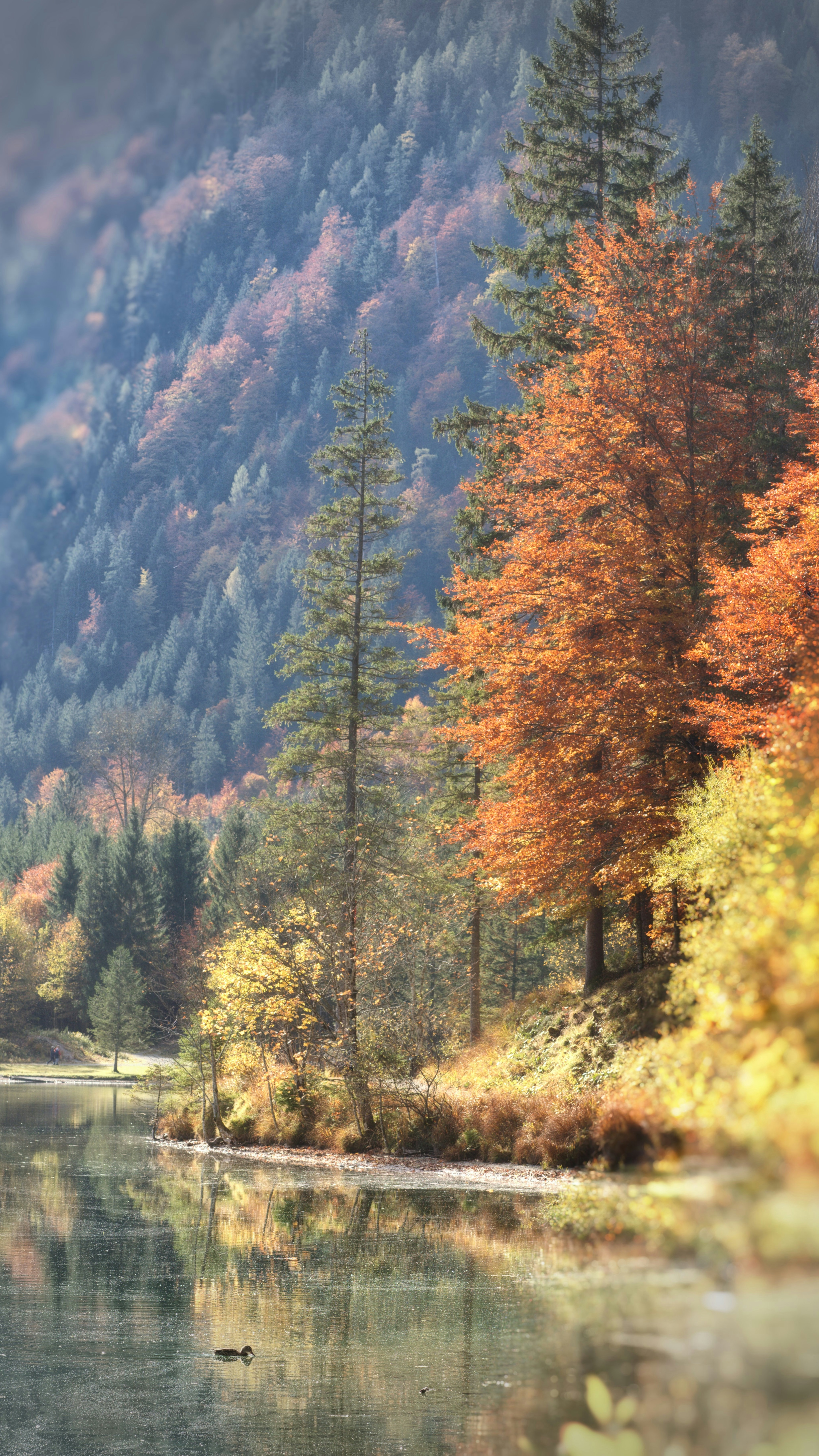 Autumn Mountain Lake Landscape