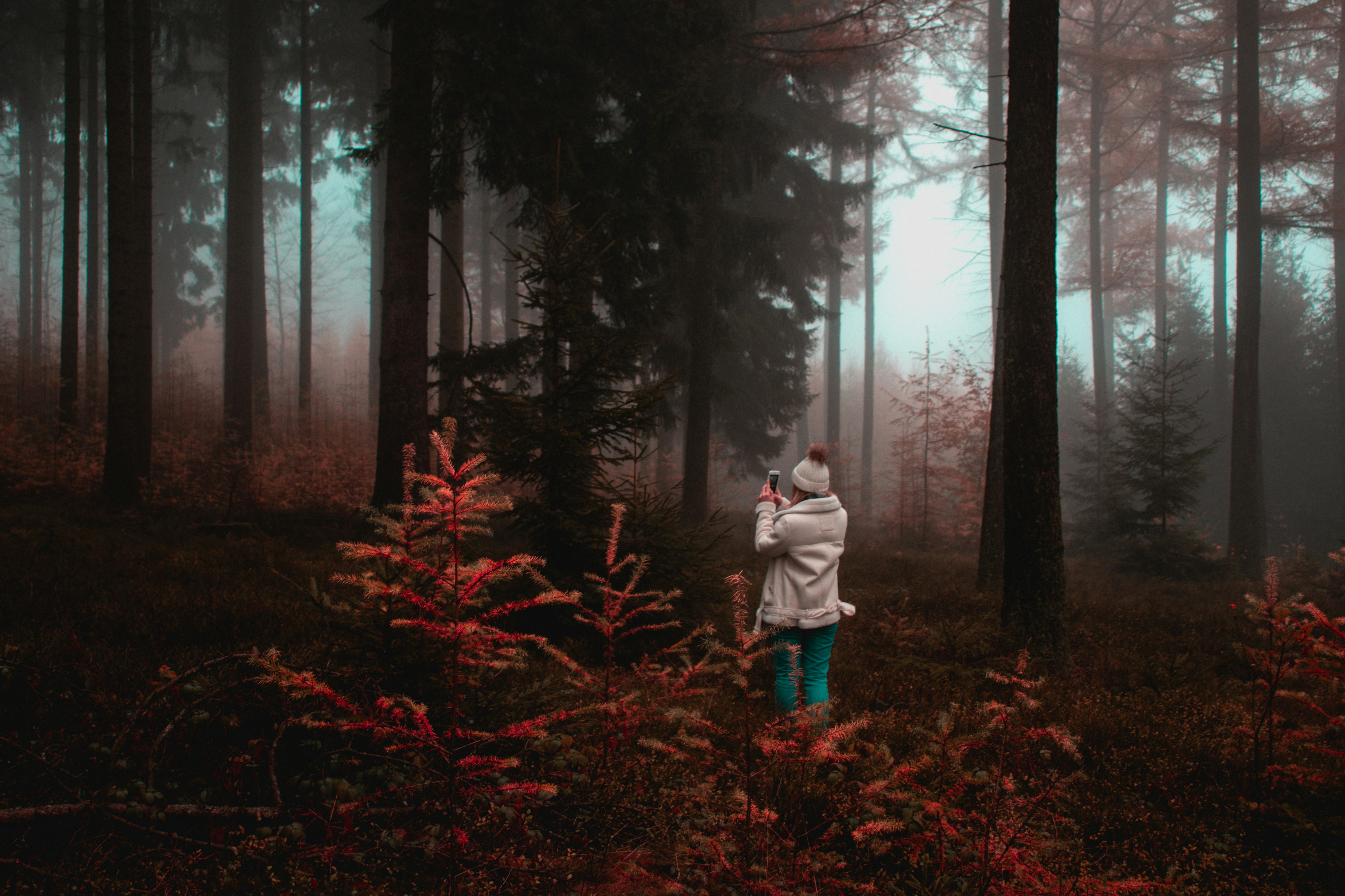 Woman Taking Photo in Foggy Forest
