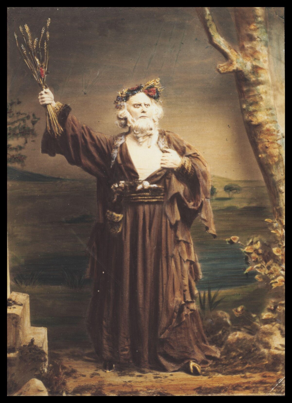 Ancient Druid Holding Wheat Stalks