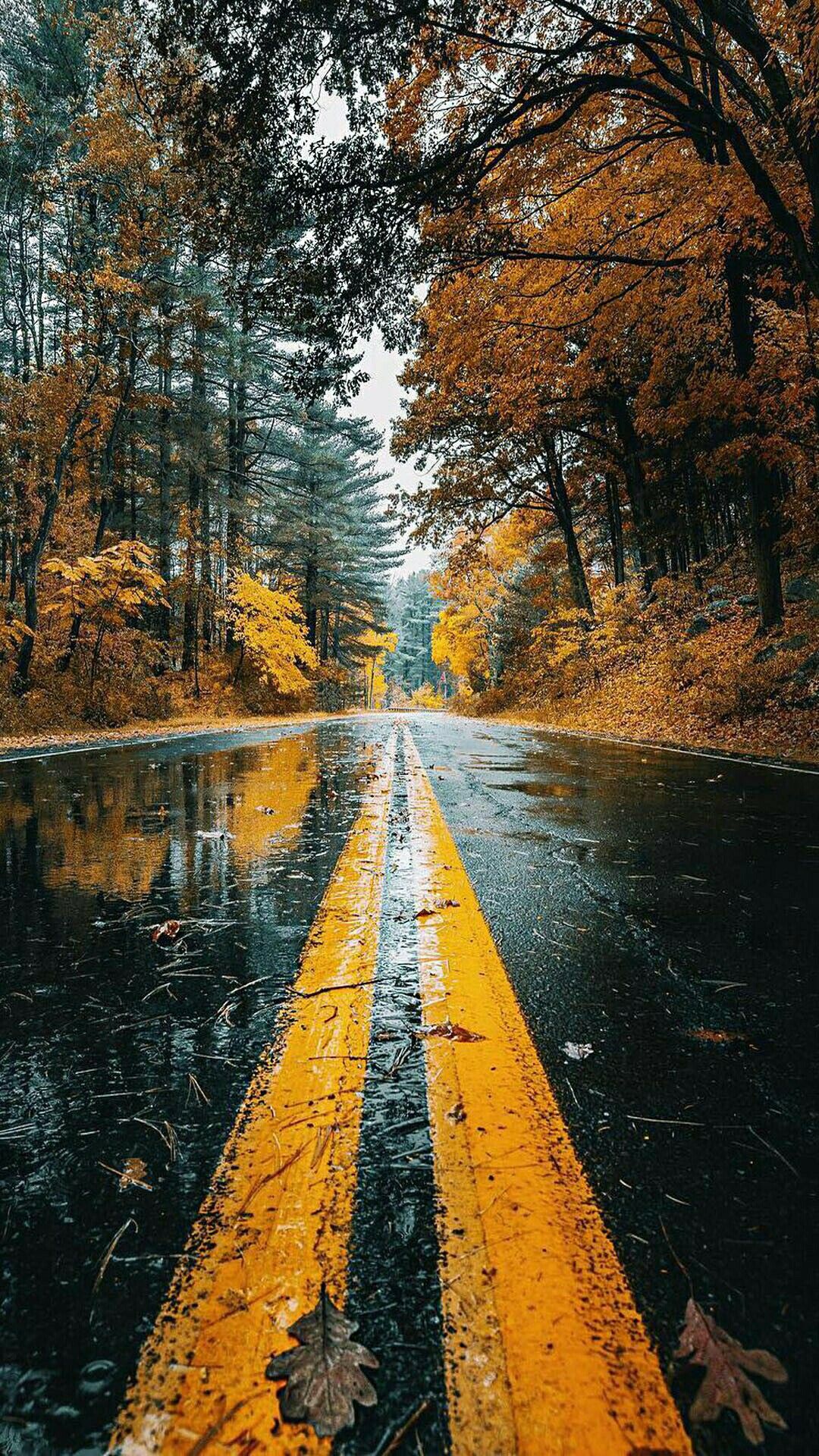Wallpapers