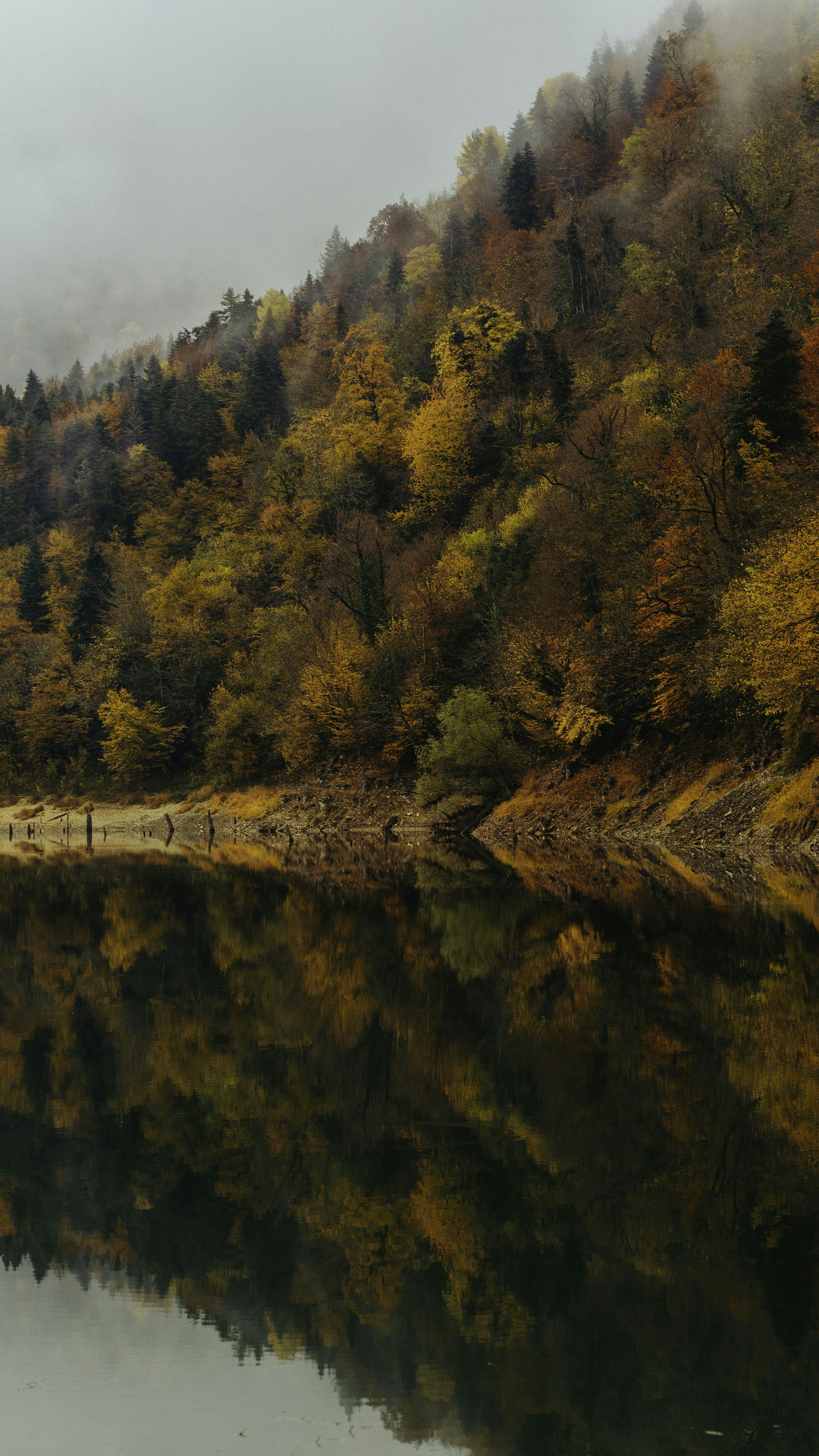 Misty Autumn Forest Lake Reflection