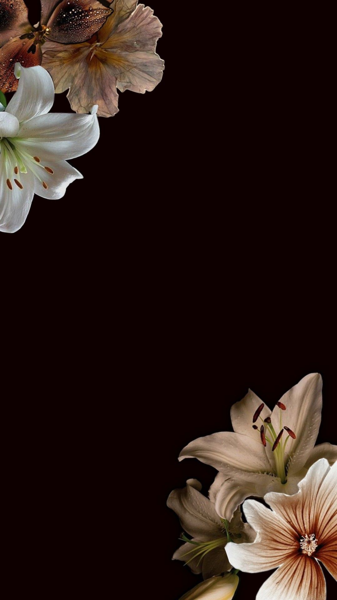 Wallpapers