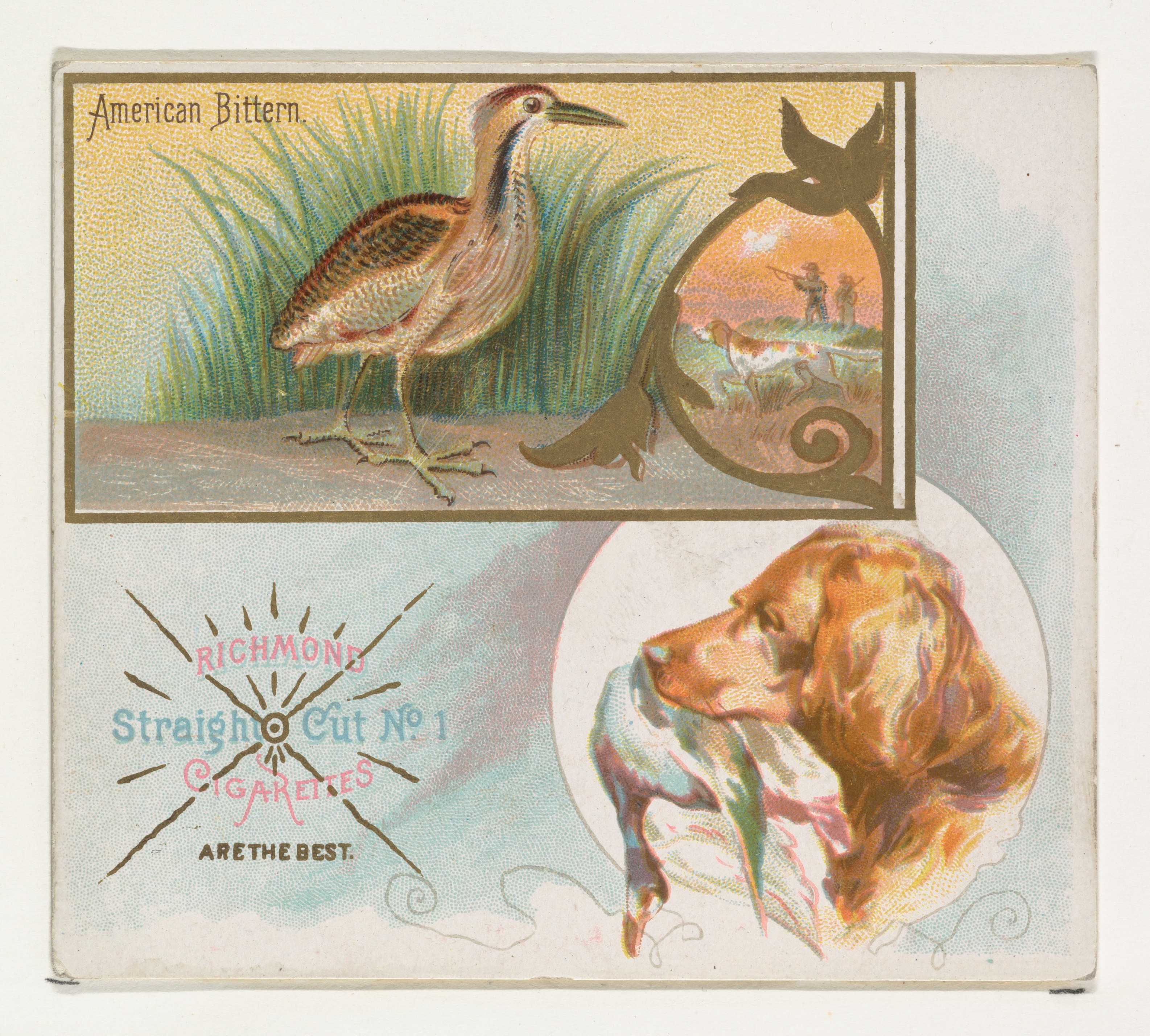 Vintage American Bittern Cigarette Ad