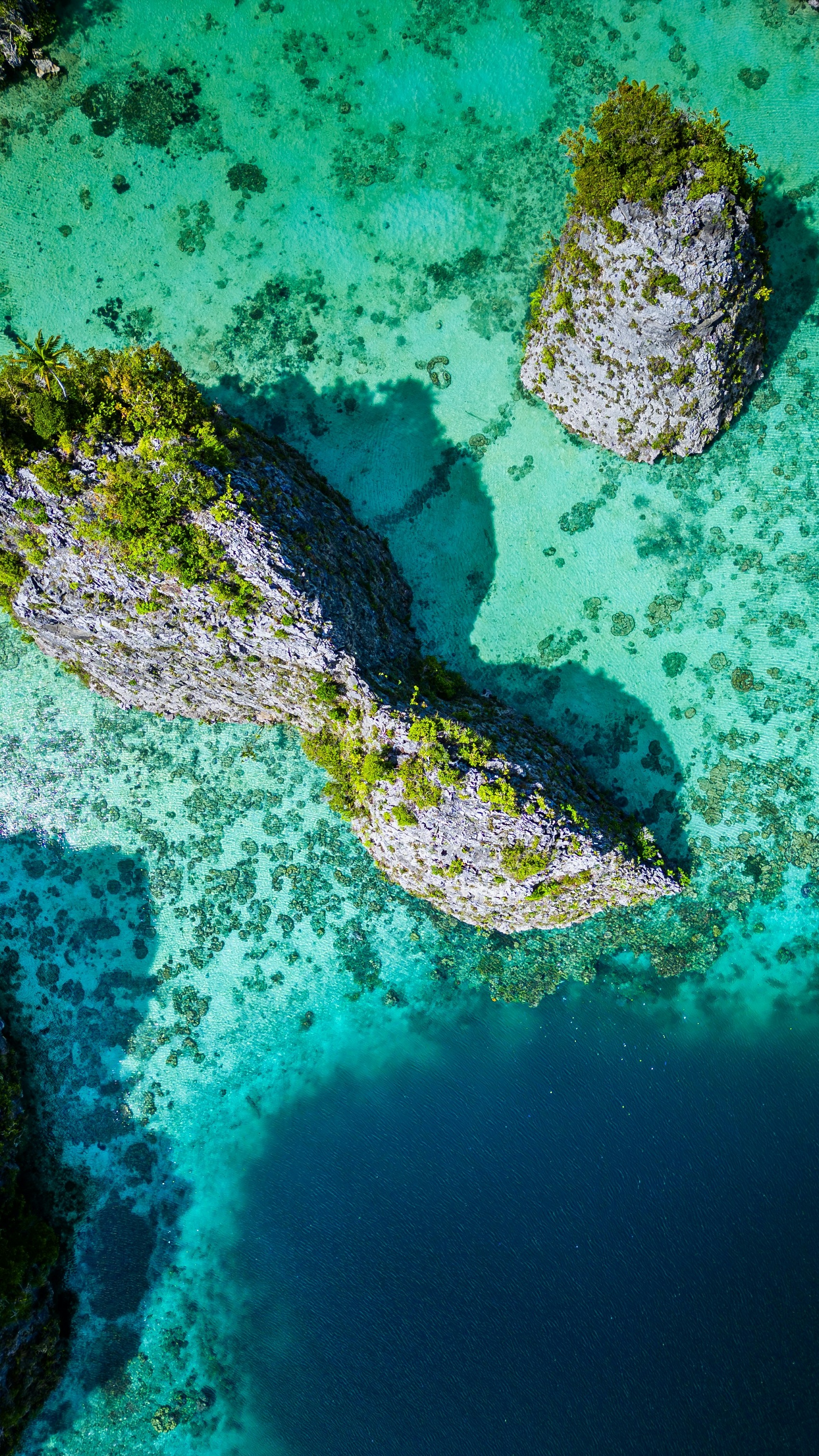 Wallpapers