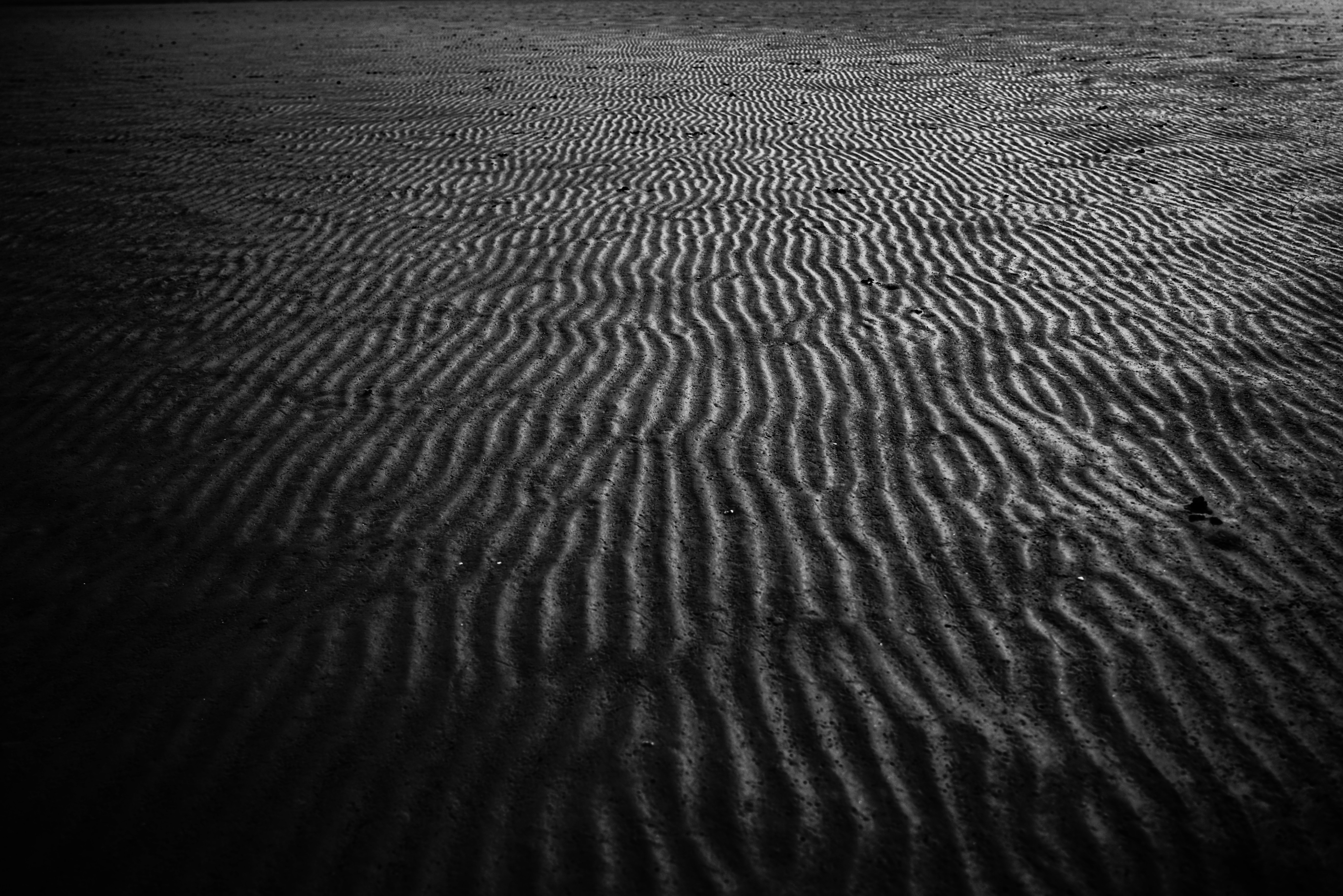 Black and White Rippled Sand