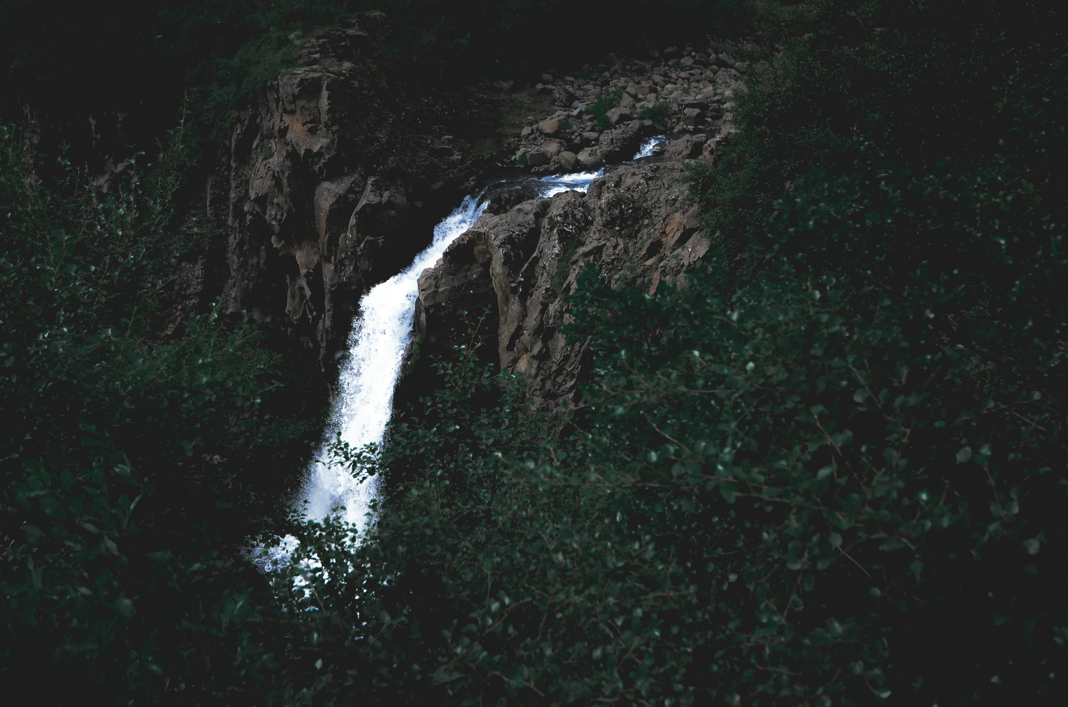 Hidden Waterfall in Green Gorge