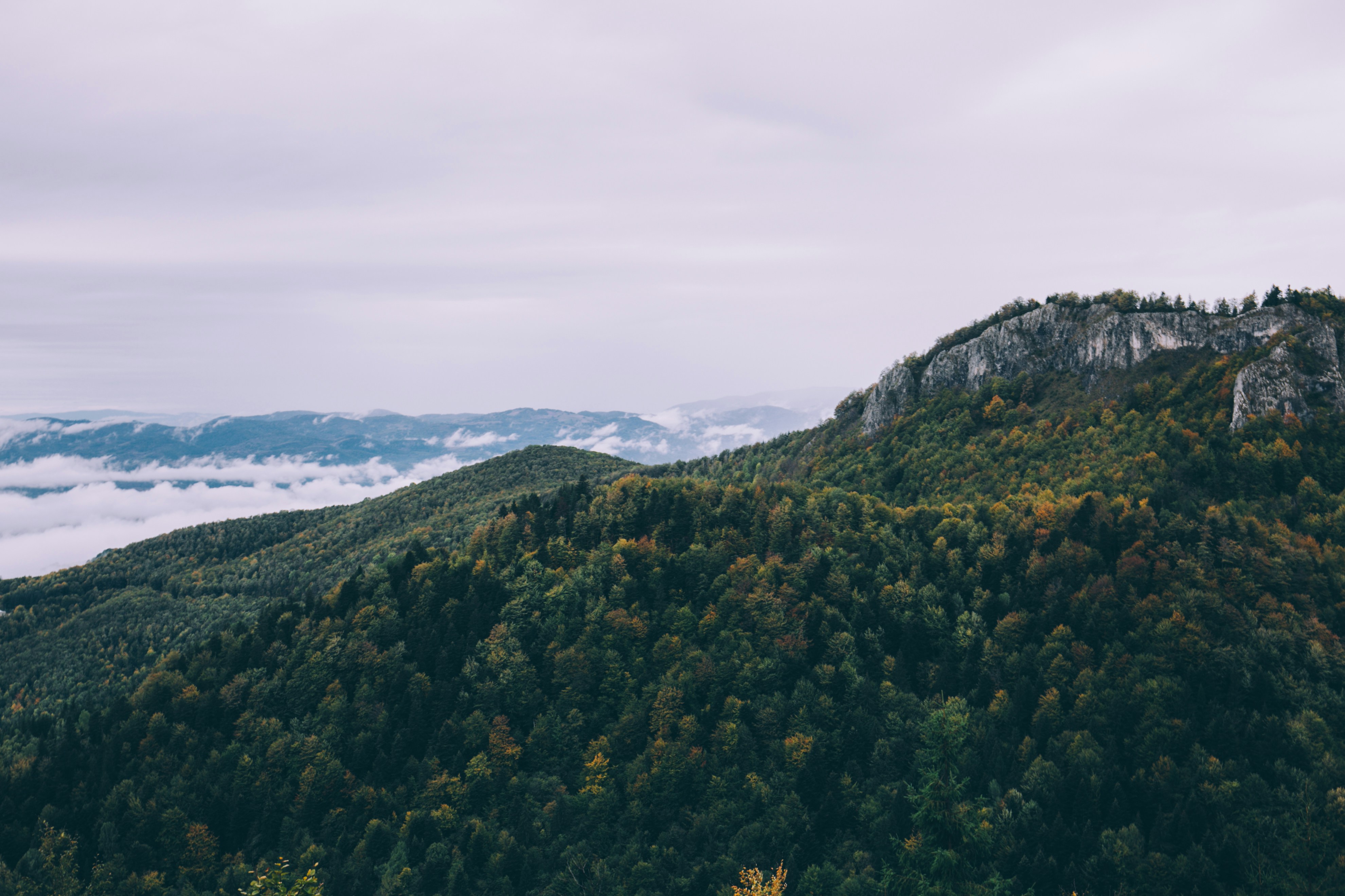 Autumn Mountain Forest Above Cloud Sea