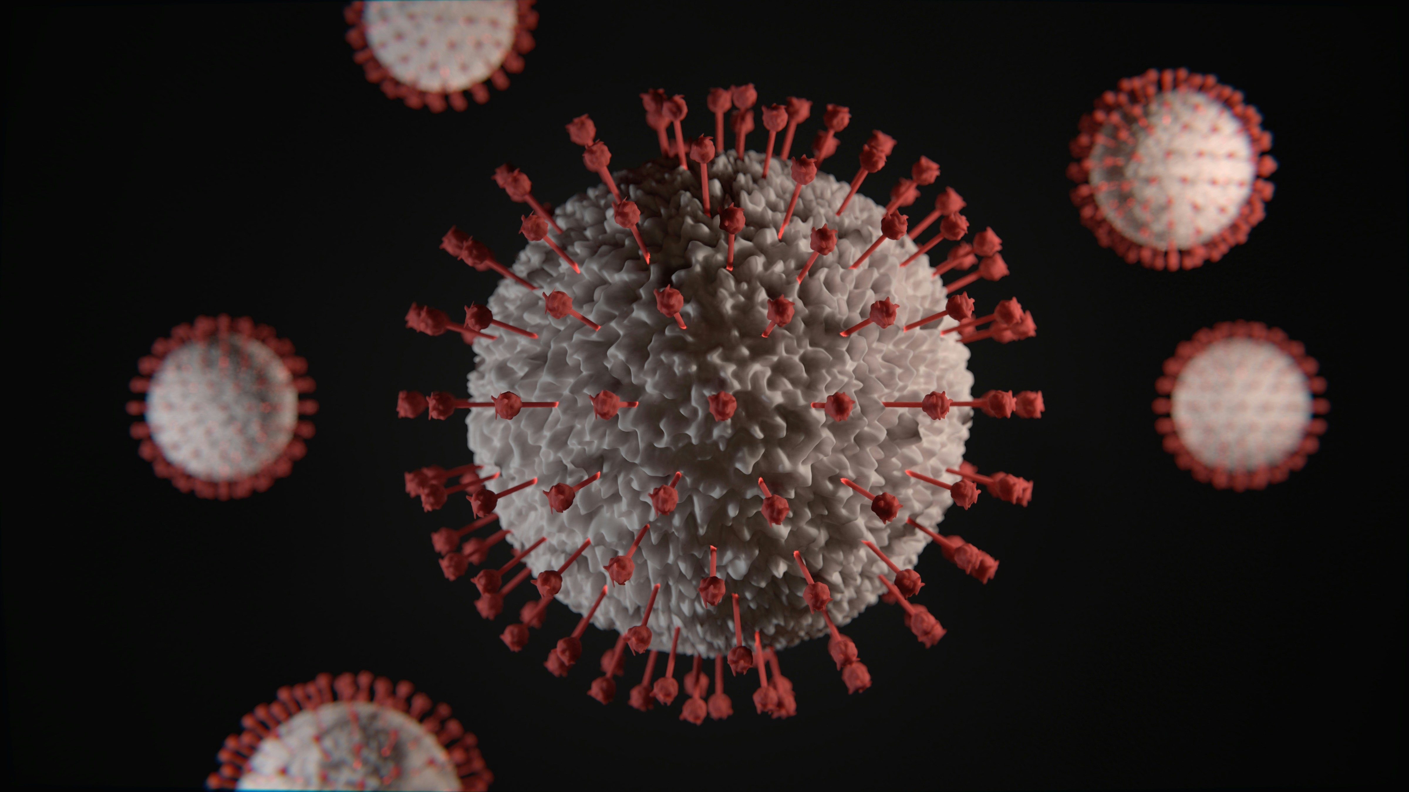 3D Rendered Coronavirus Particles