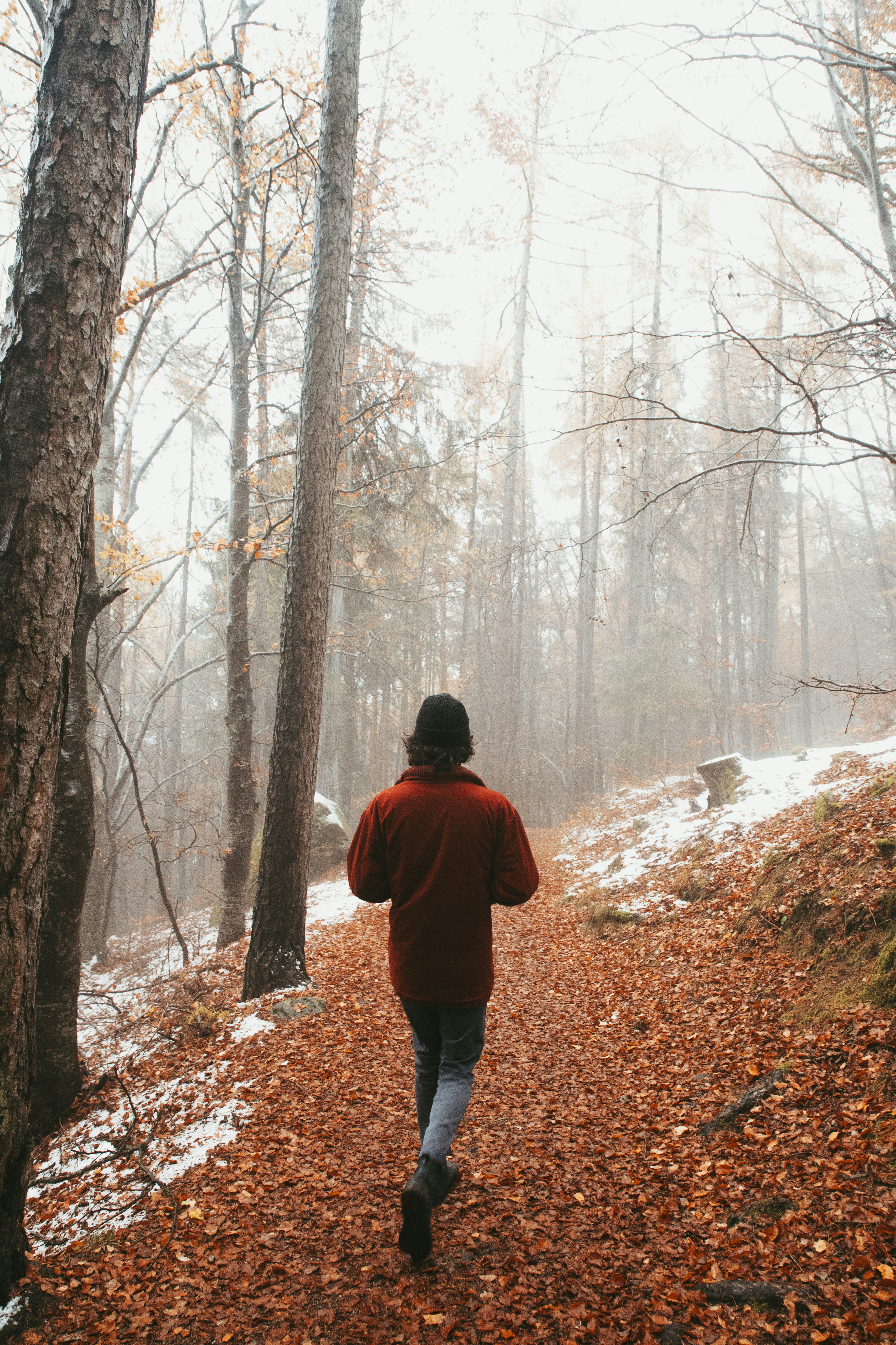 Hiker on Autumn Forest Path