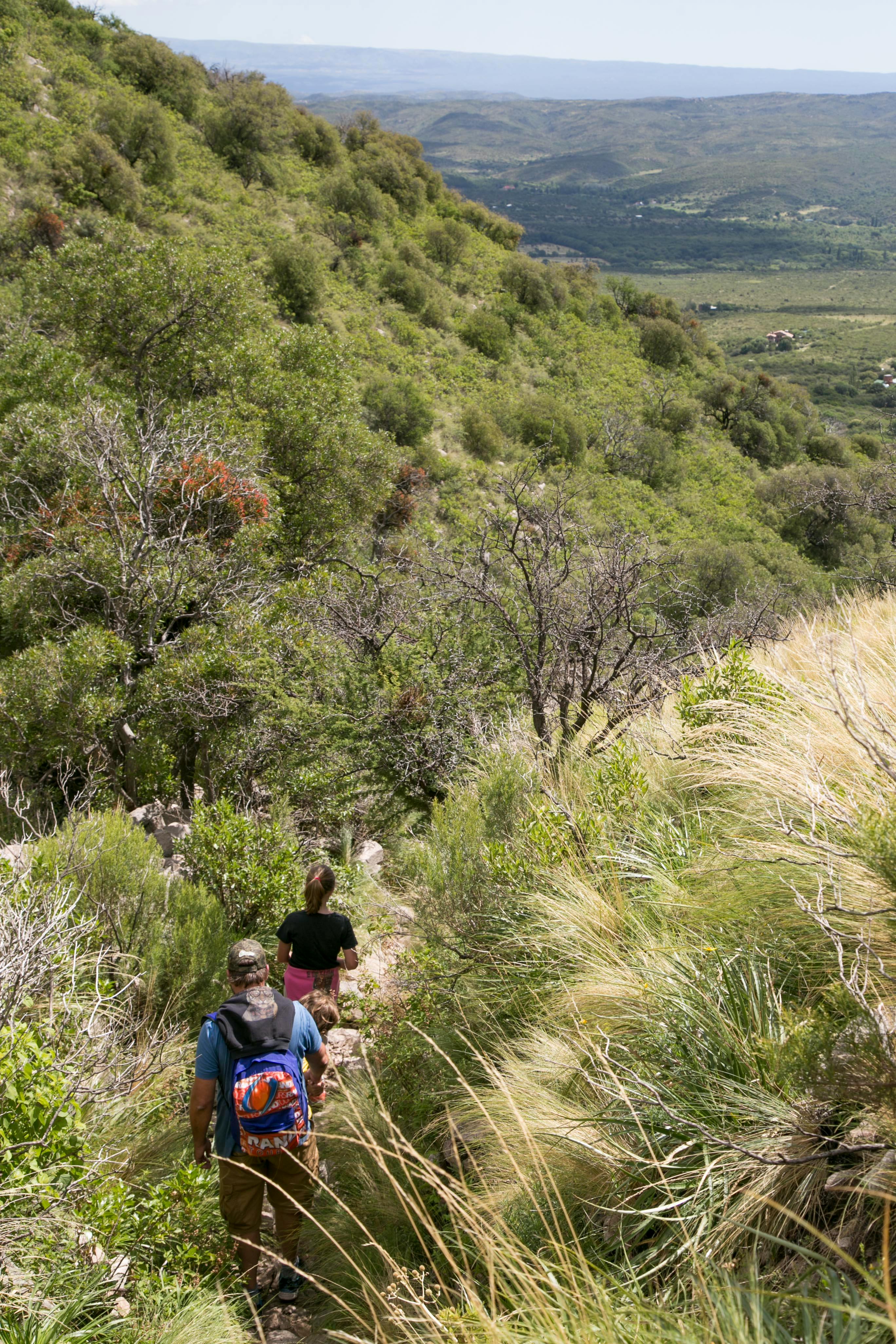 Hikers Descending Mountain Trail