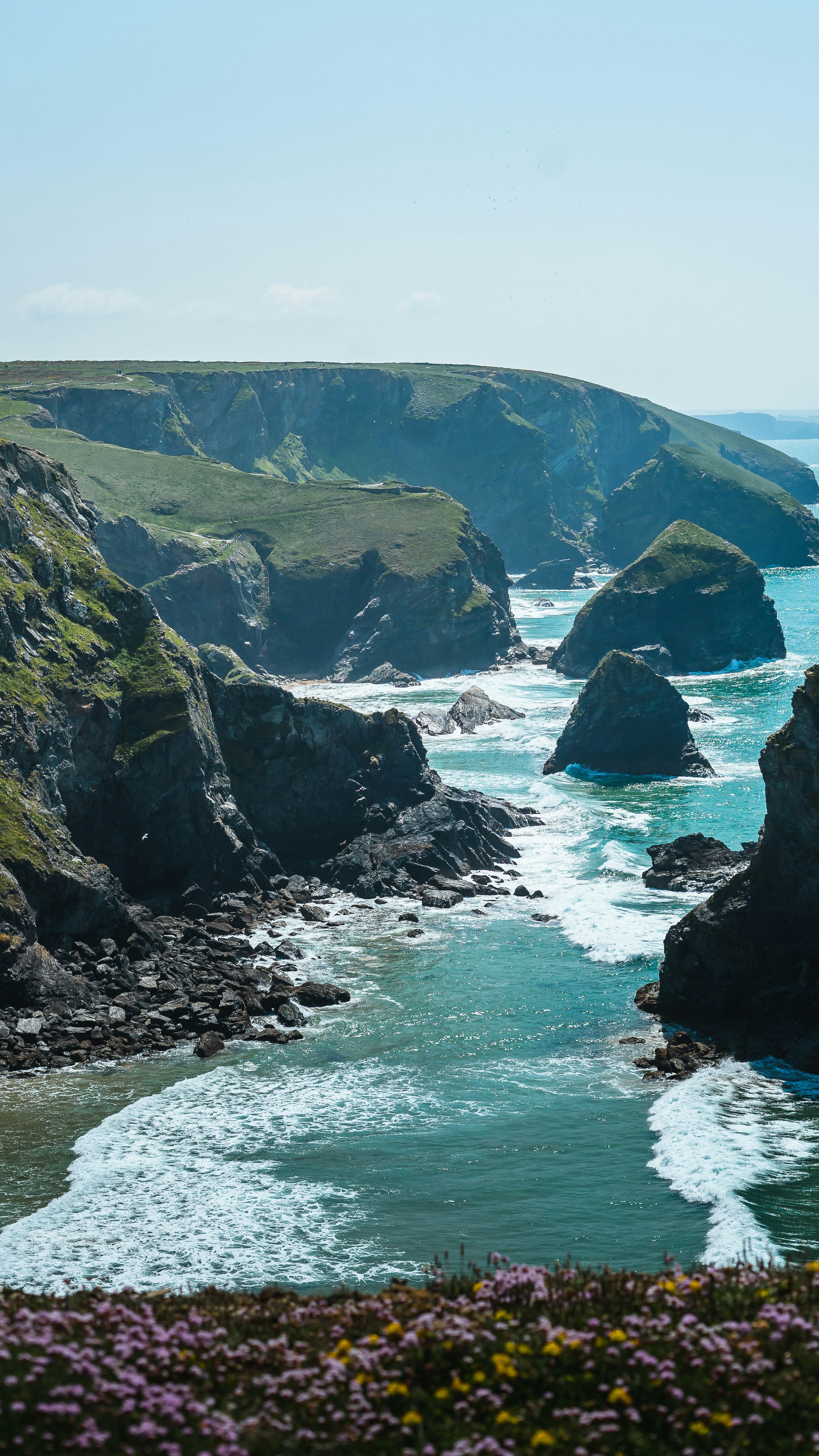 Image 1569387 — Nature
