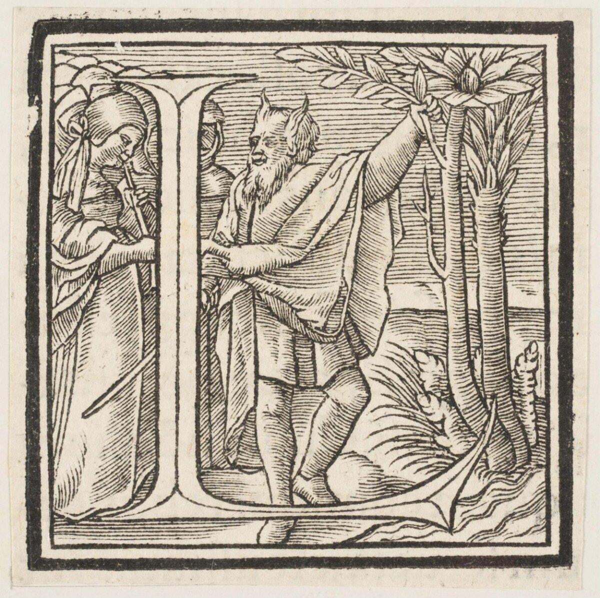Woodcut Decorated Initial D