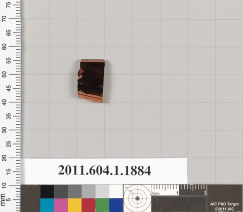 Ancient Pottery Shard Specimen