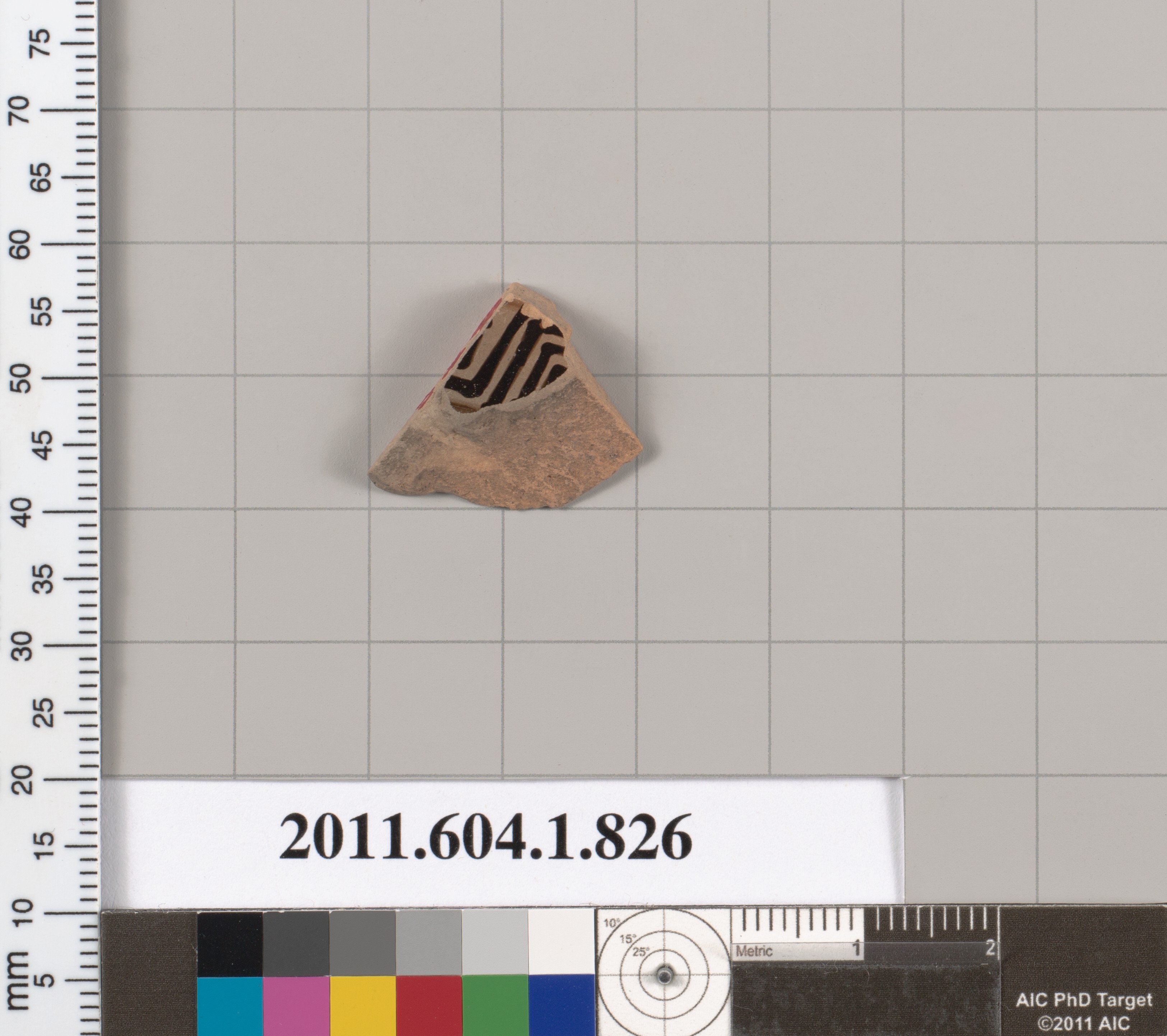 Pottery Shard Archaeological Specimen