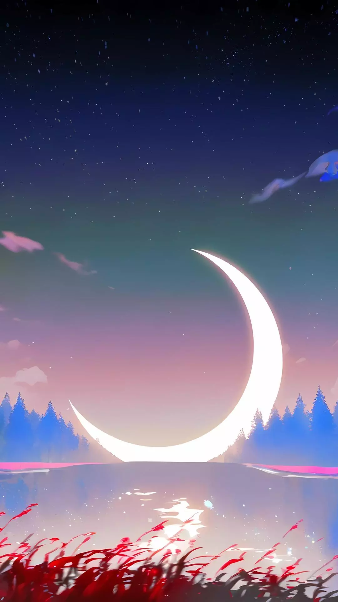 Wallpapers