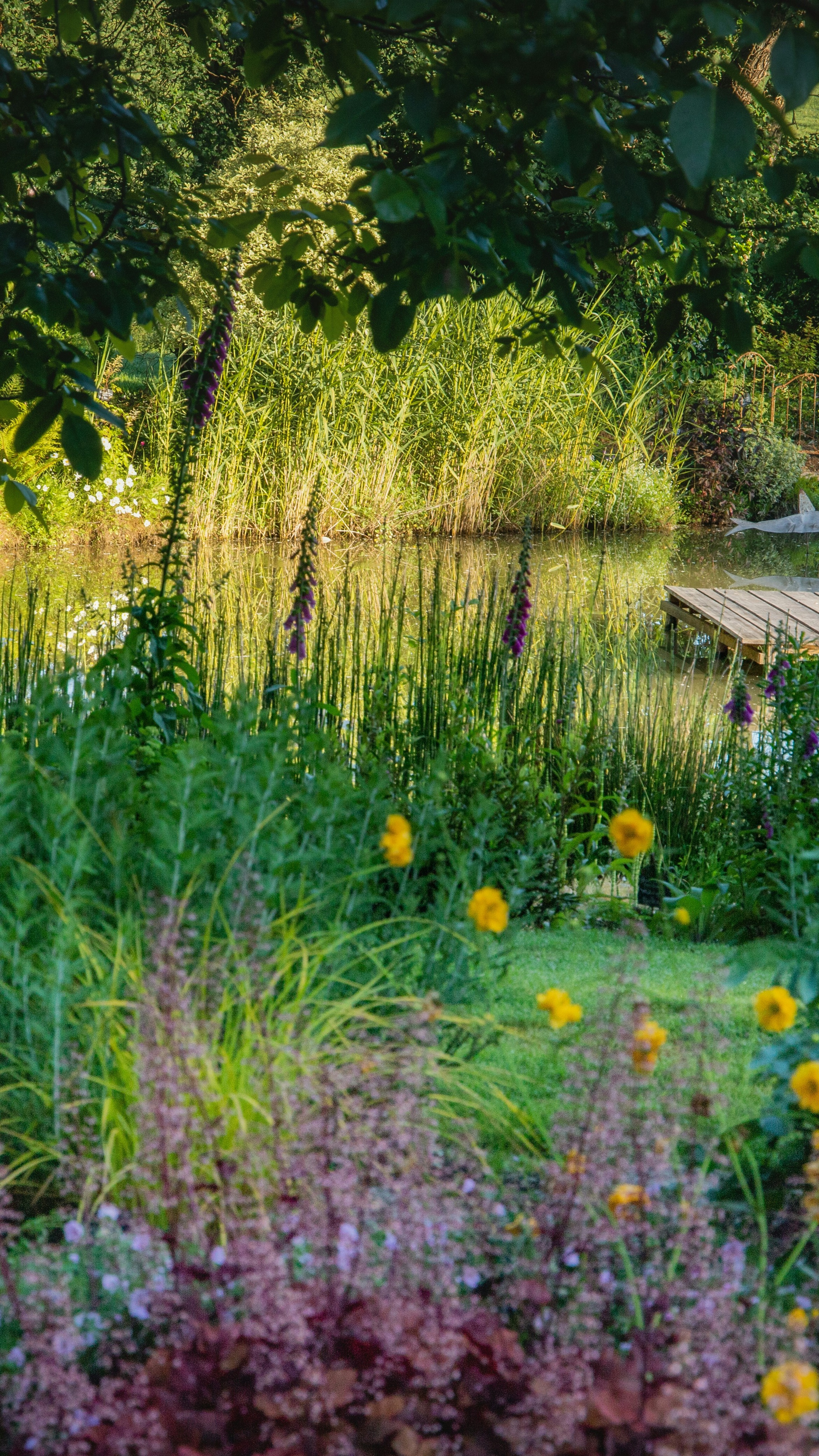 Image 1561096 — Nature
