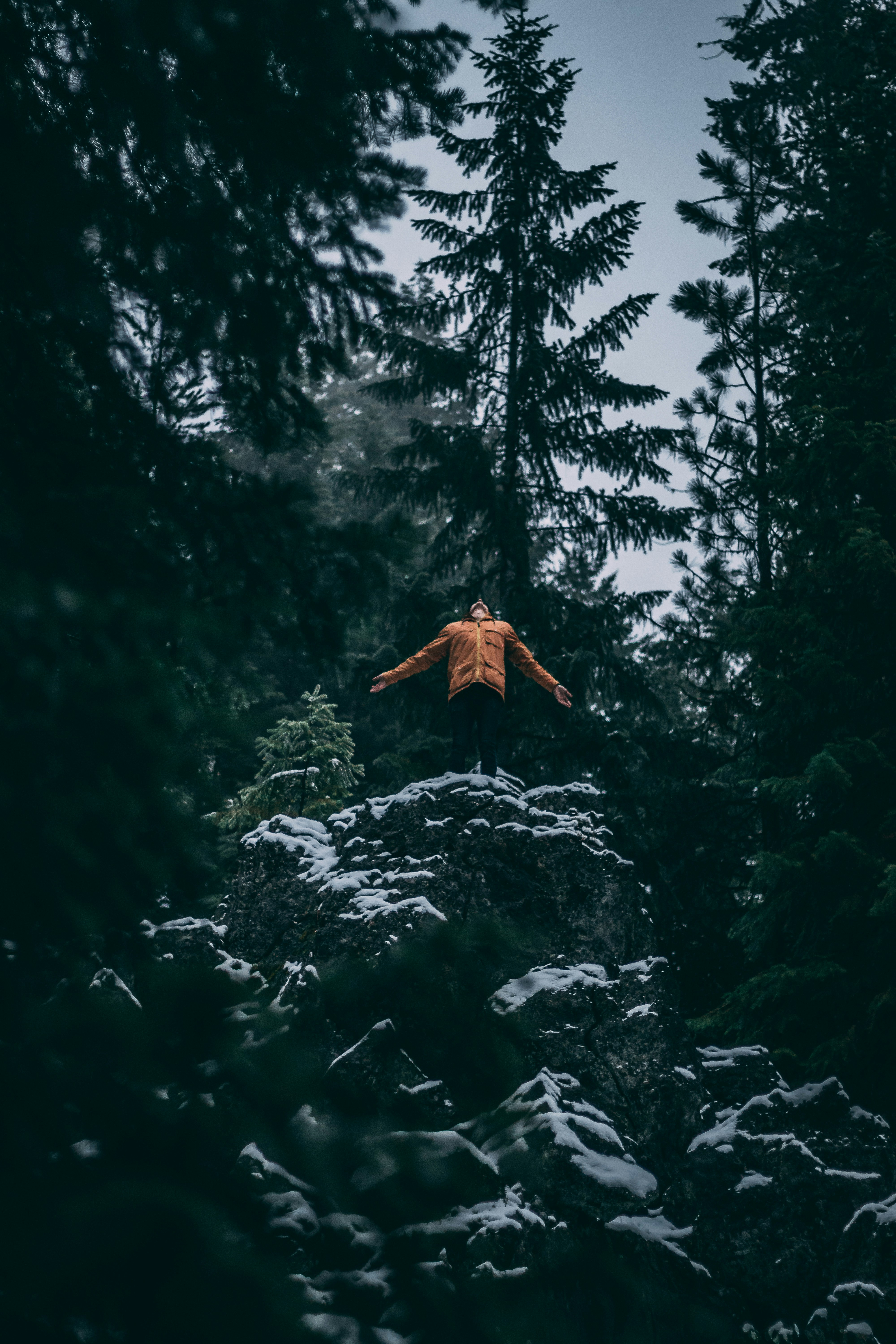 Person on Snowy Rock in Coniferous Forest