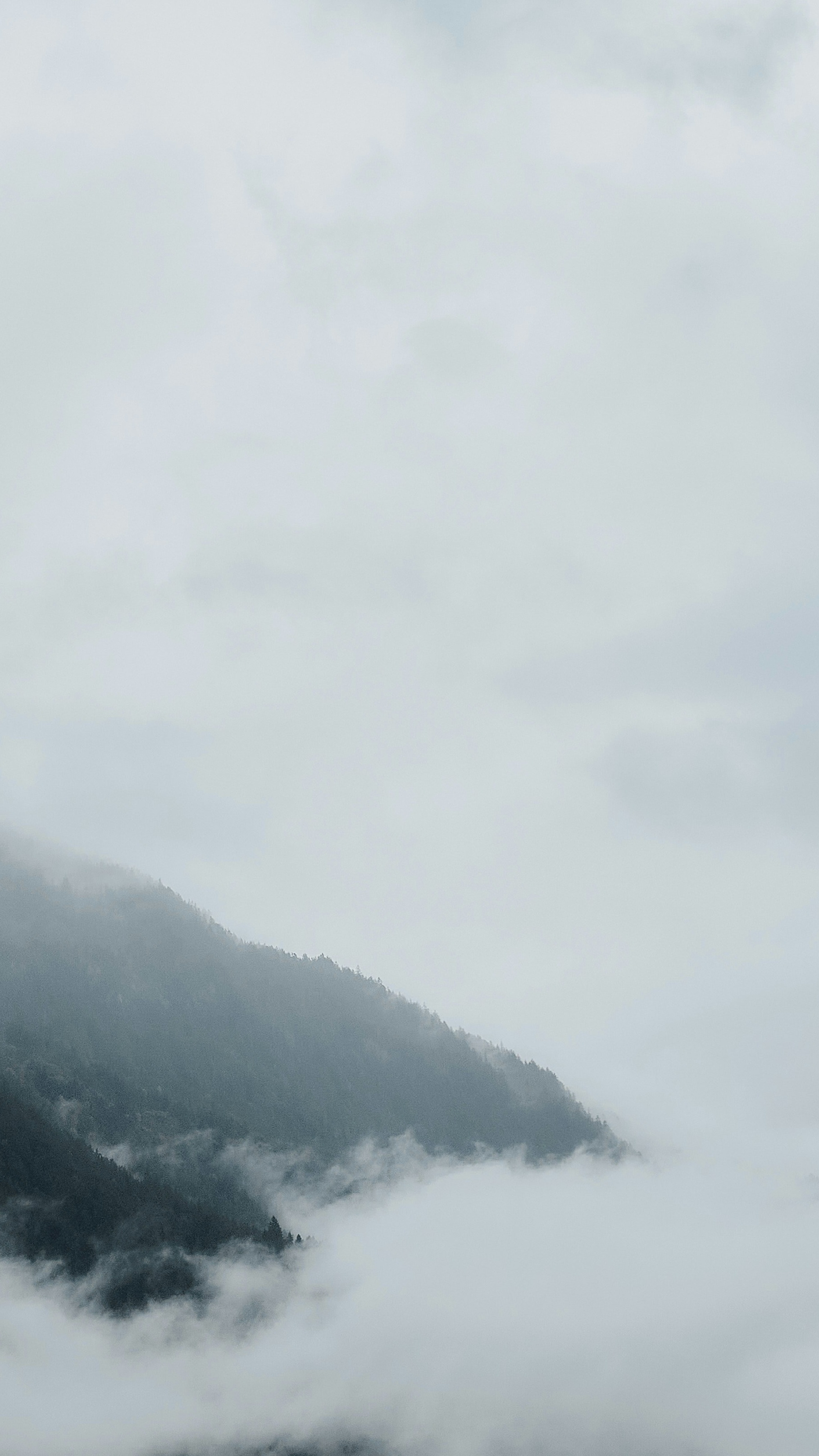 Landscapes