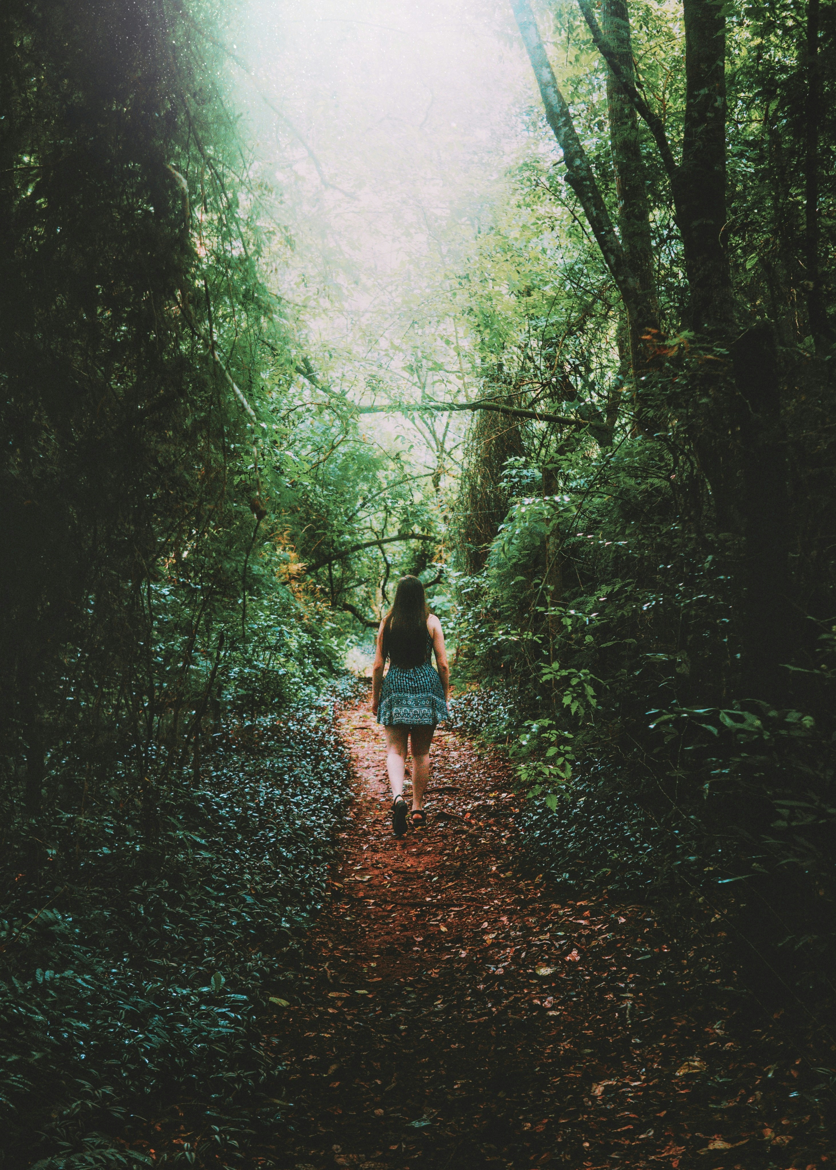 Woman Walking Along Forest Path
