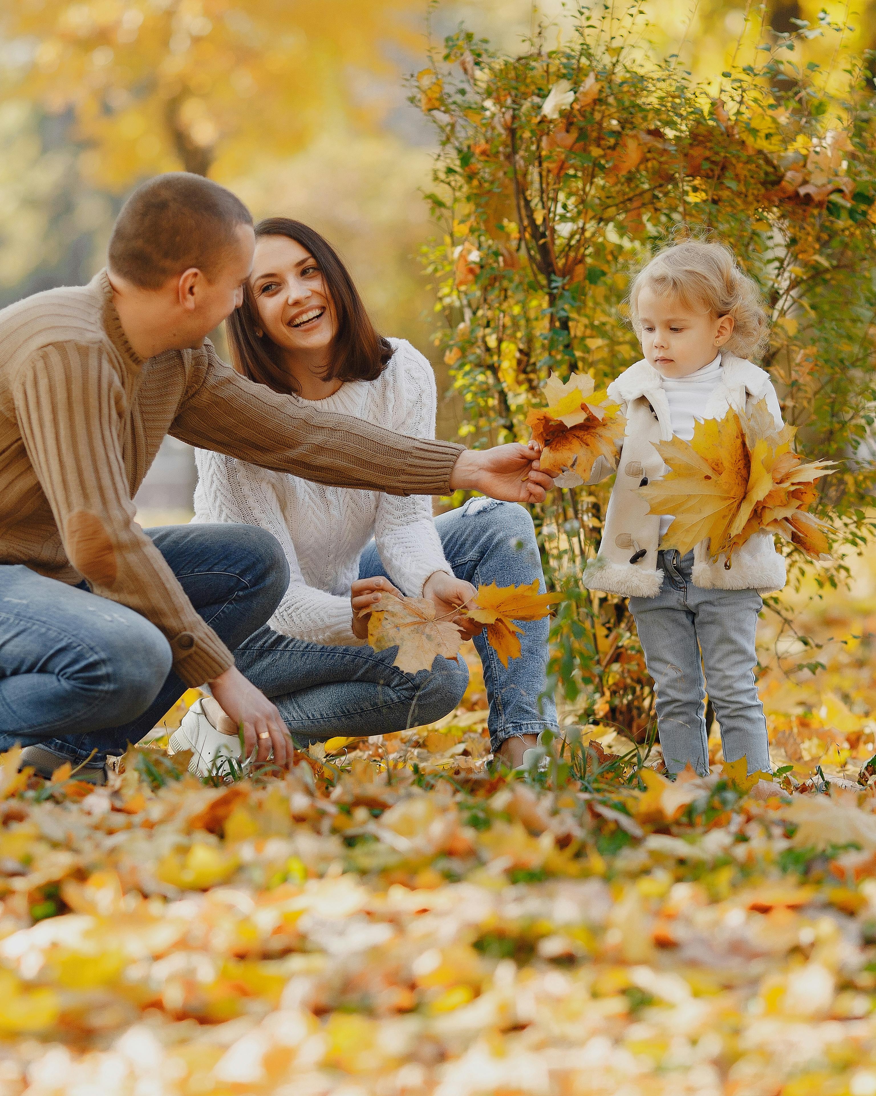 Family Collecting Autumn Leaves Outdoors