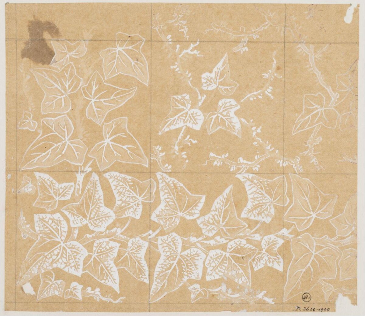 White Ivy Leaf Pattern Sketch