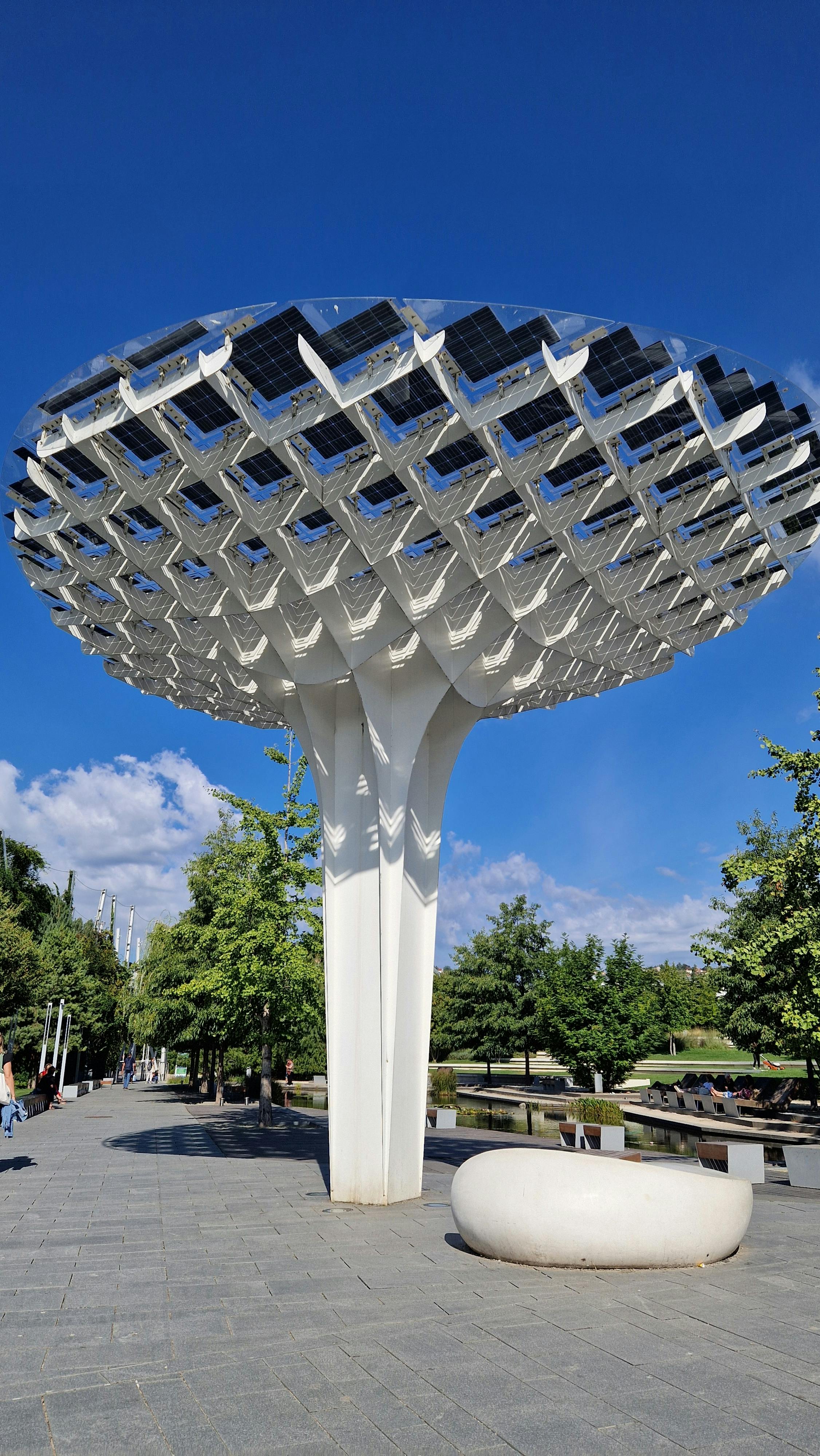 Solar Tree Canopy in Urban Park