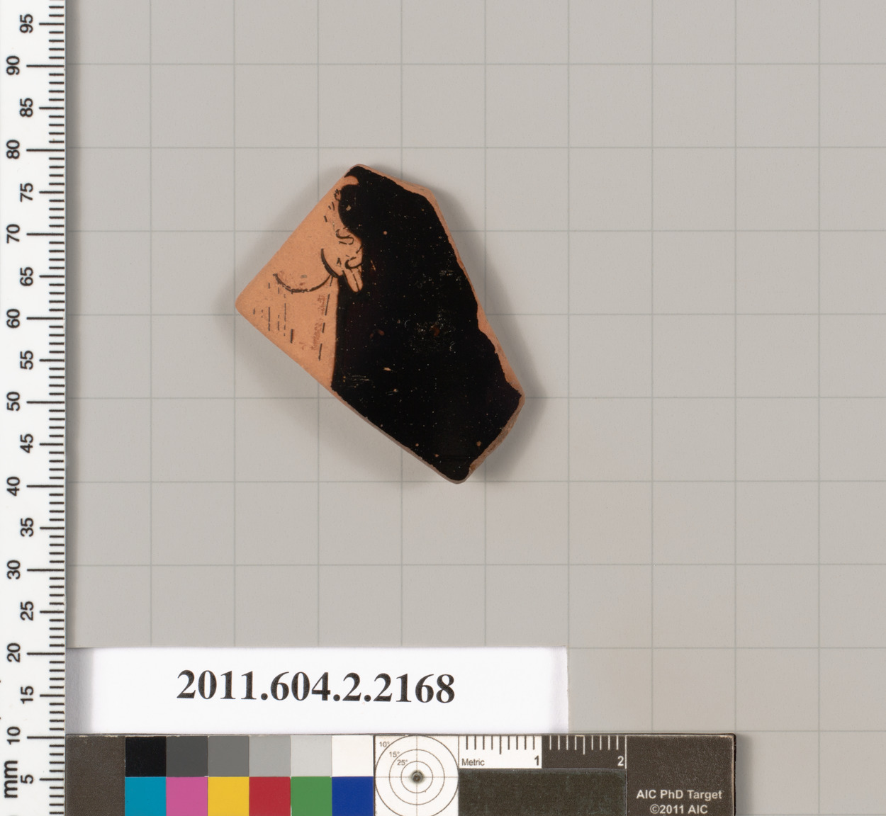 Pottery Shard Artifact Specimen Photo