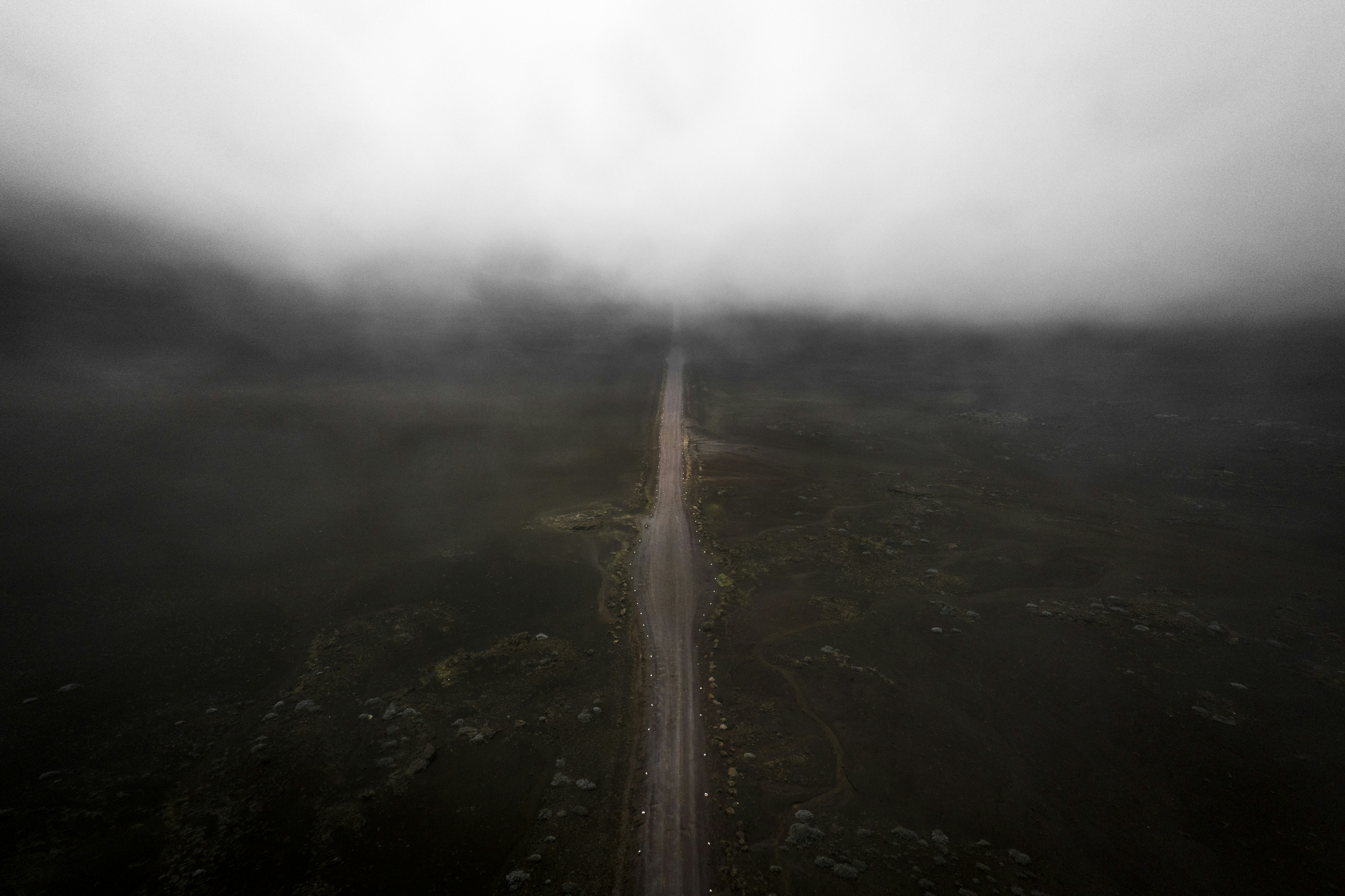 Straight Dirt Road in Foggy Wilderness