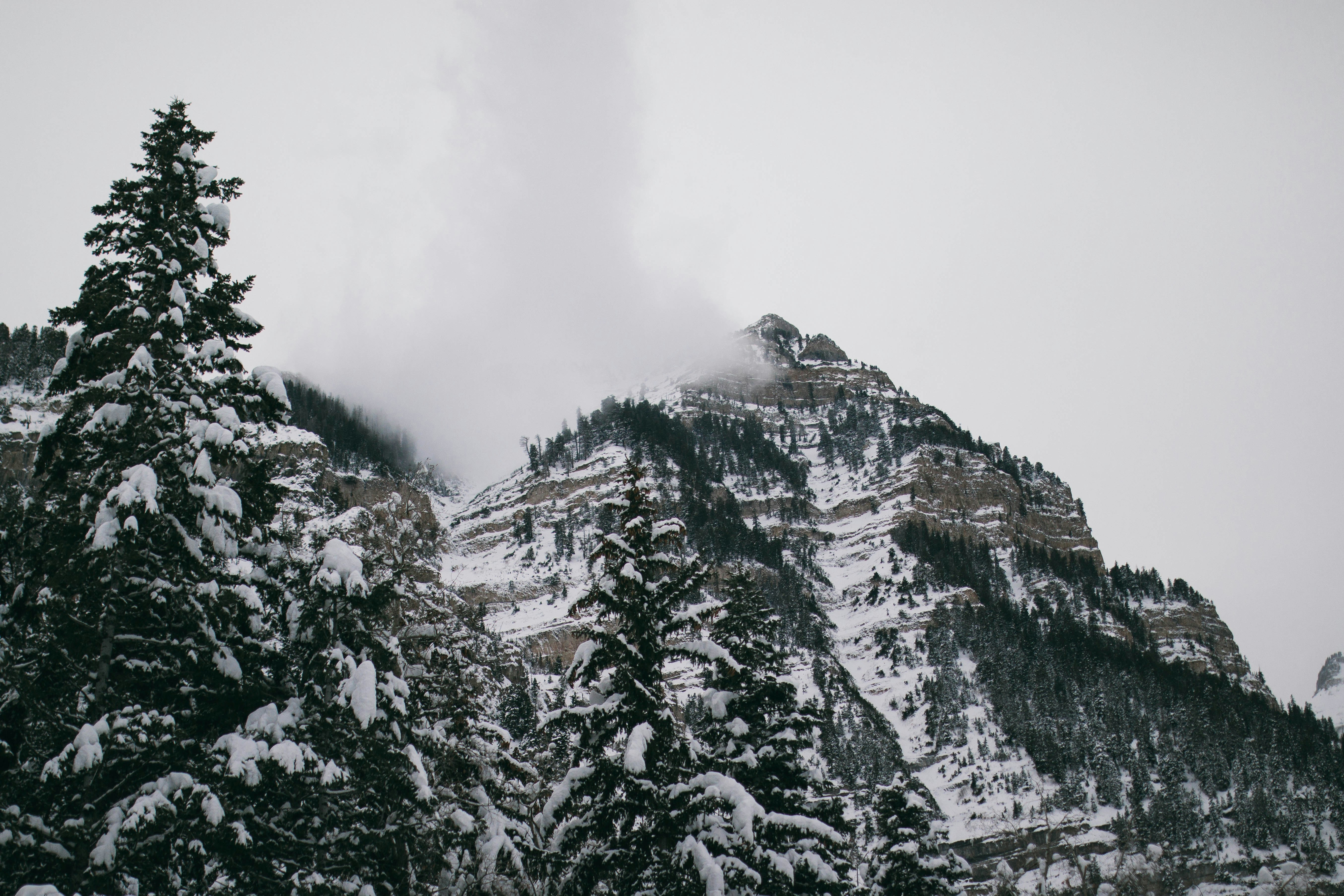 Snowy Mountain Winter Landscape