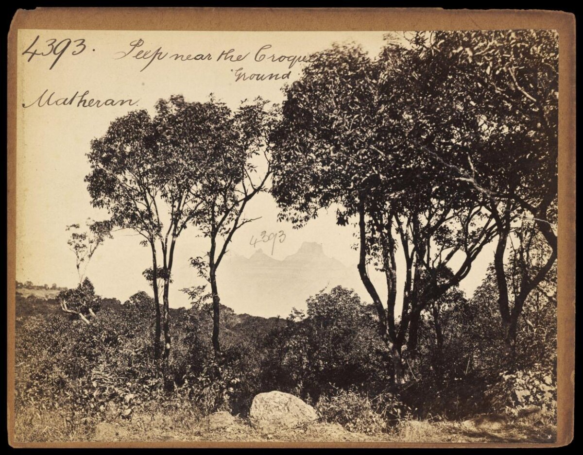 Vintage Matheran Hillside View