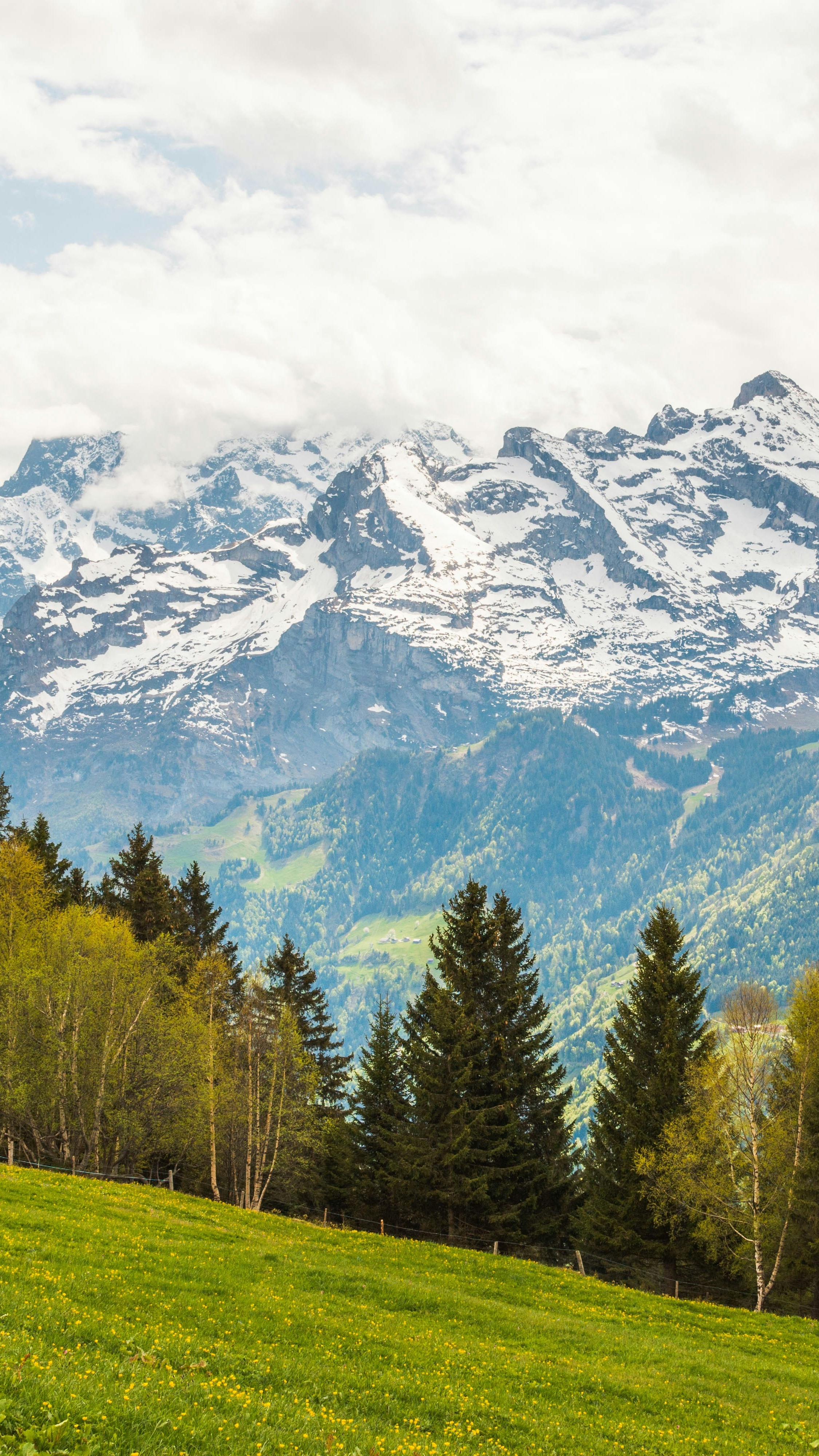 Snow Capped Mountain Meadow Landscape