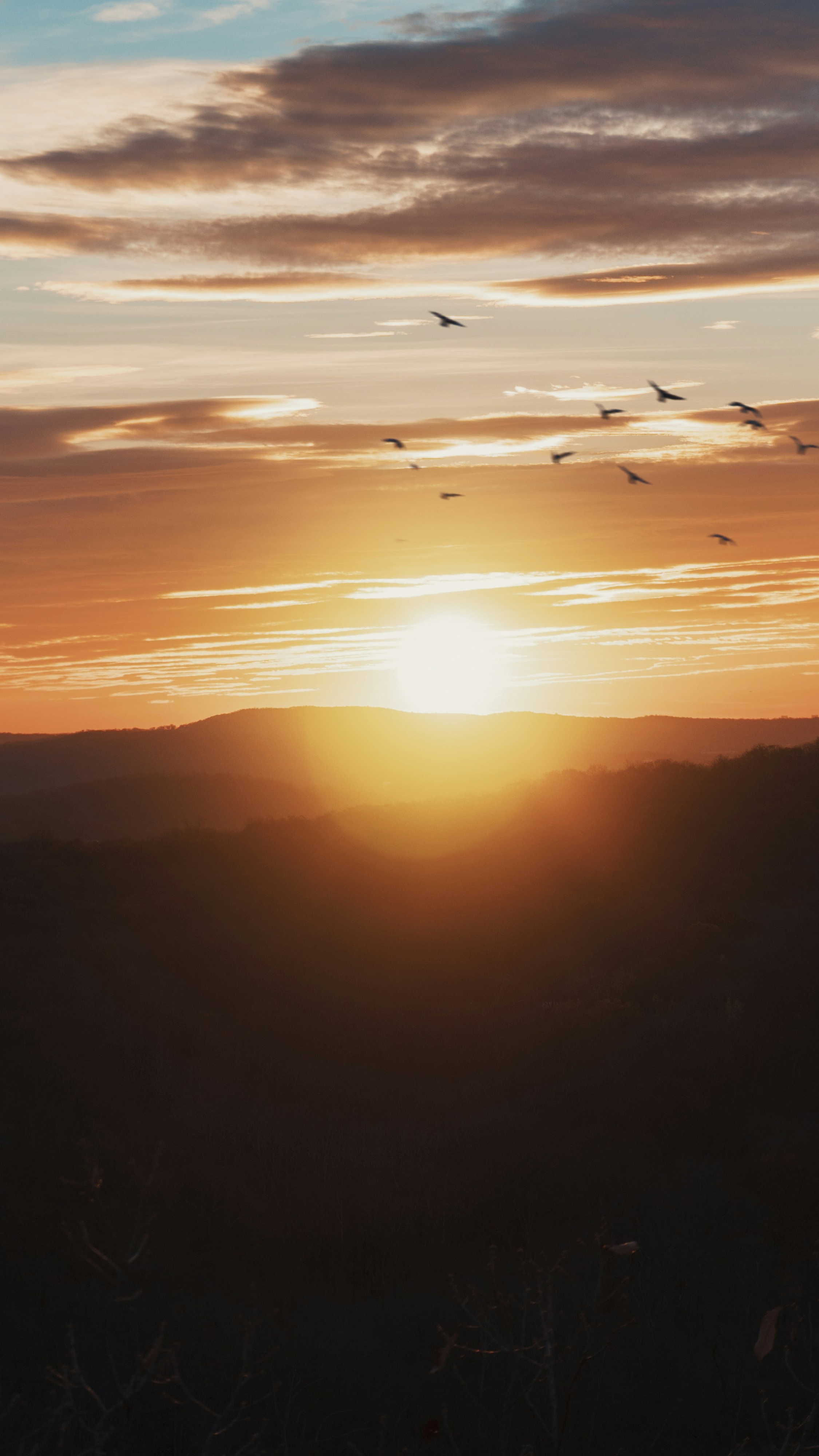 Wallpapers