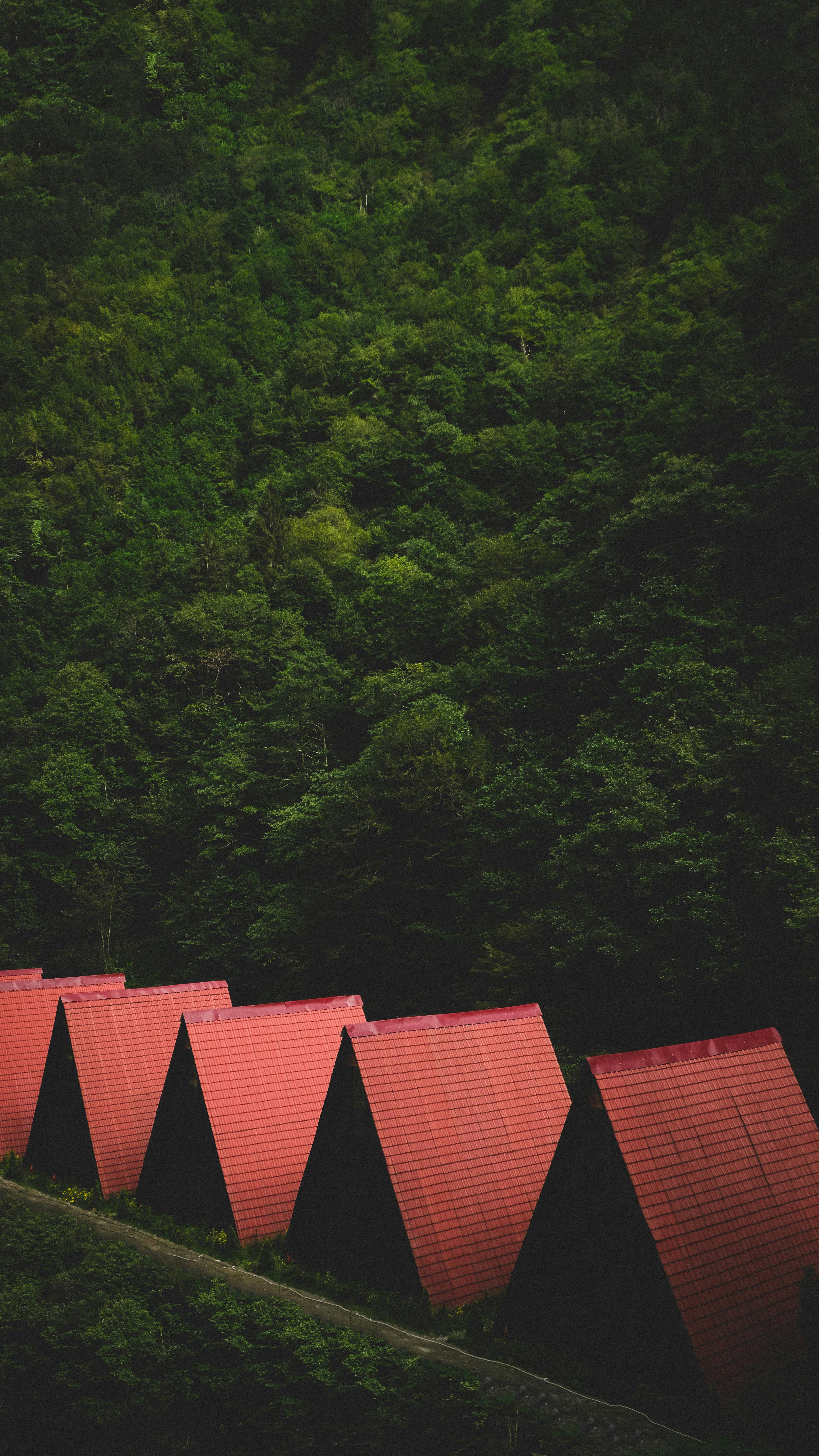 Wallpapers