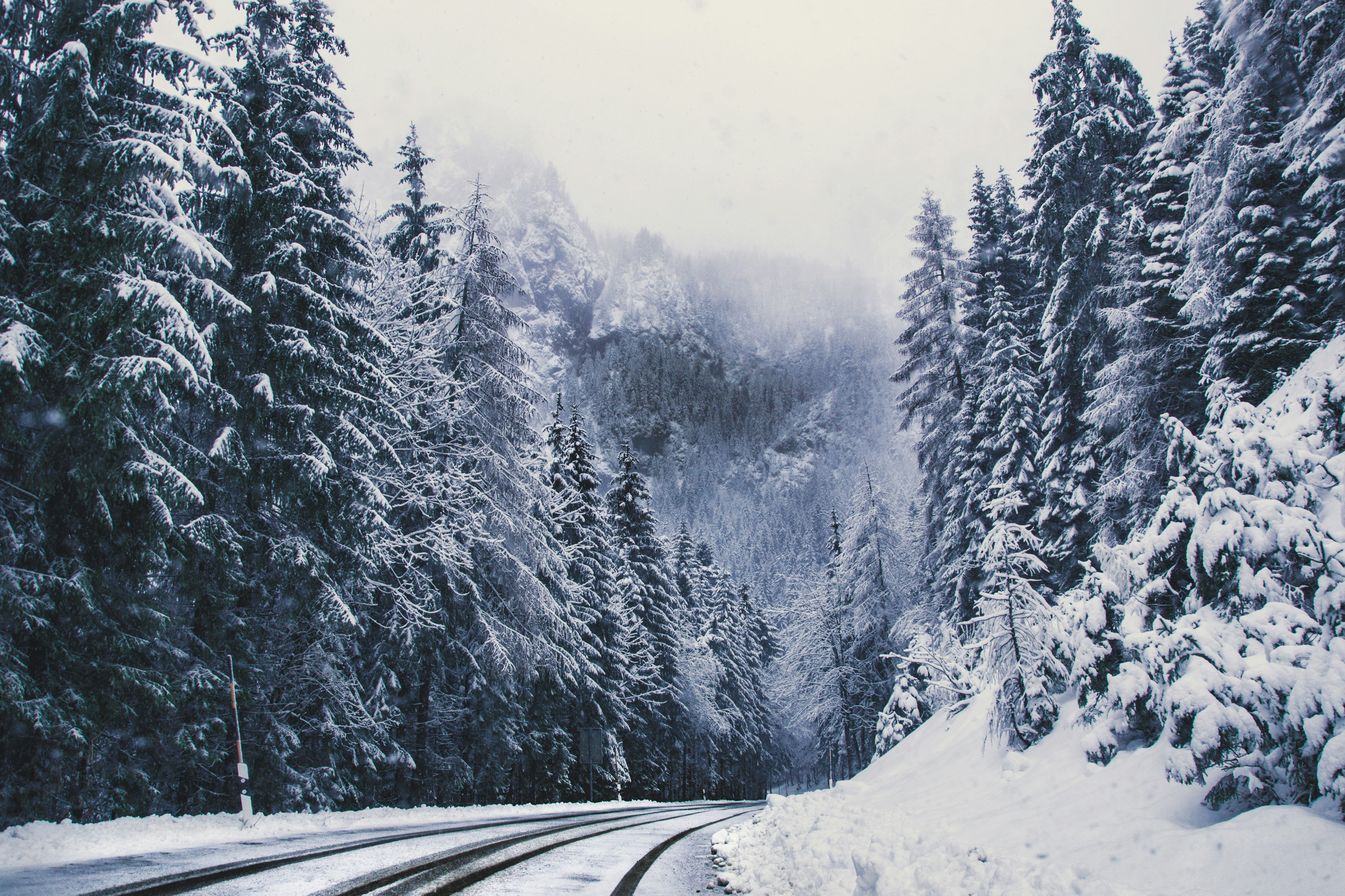 Snowy Mountain Forest Road