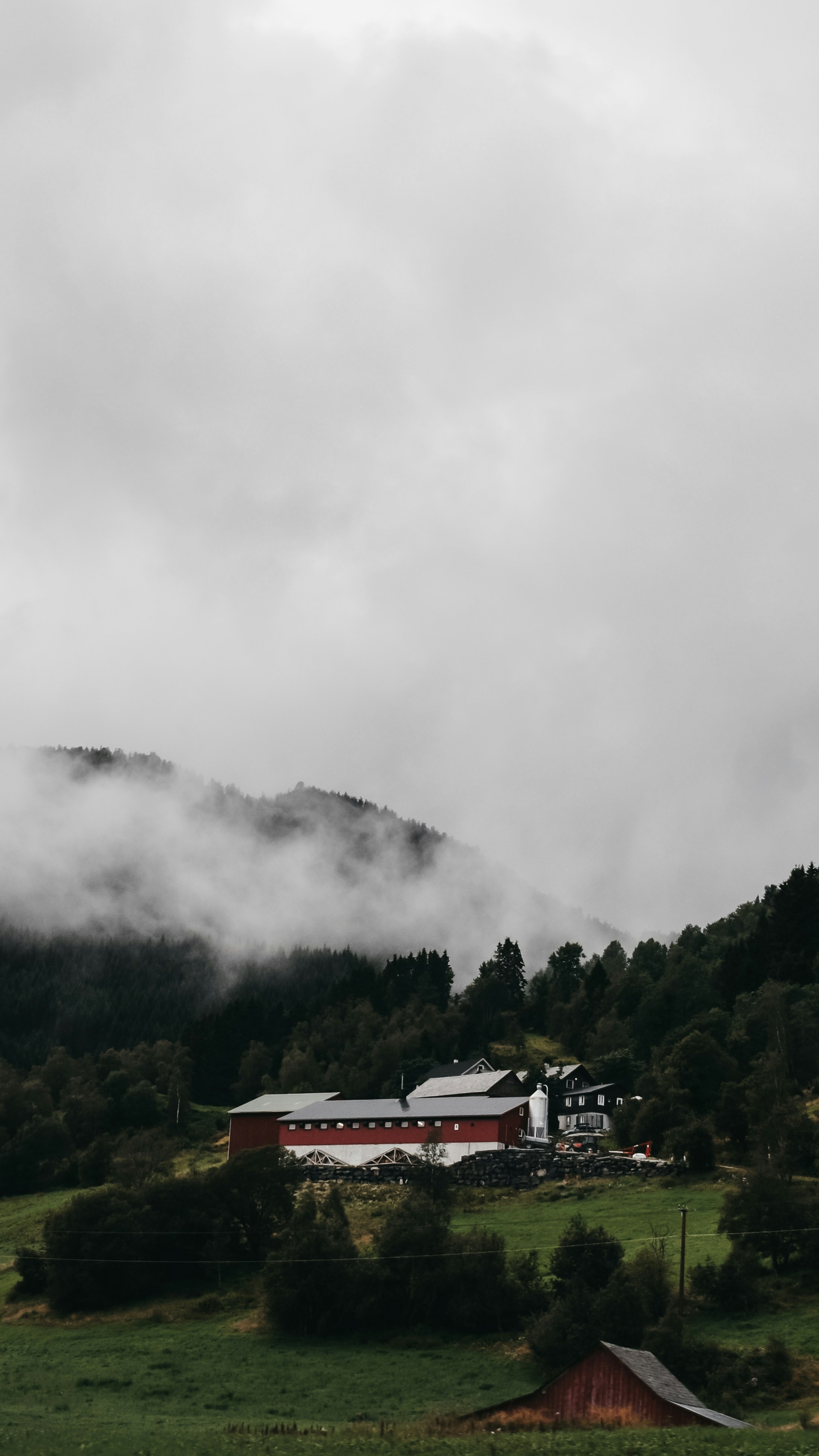 Wallpapers