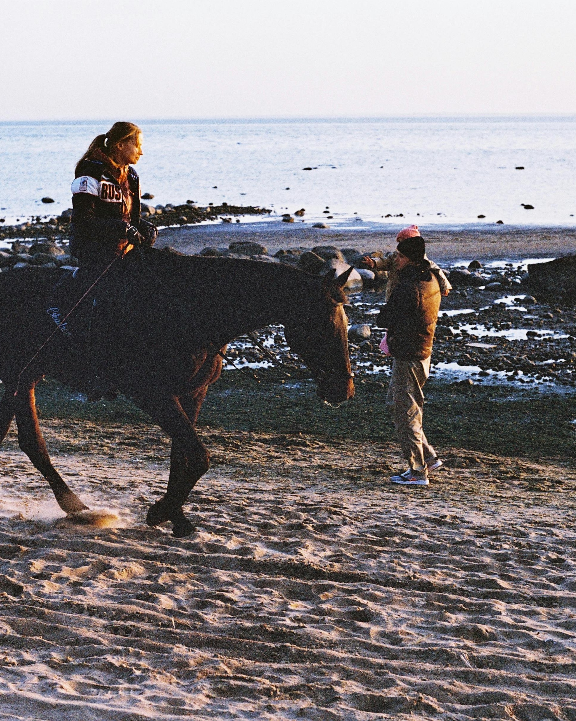Horseback Encounter on Rocky Beach