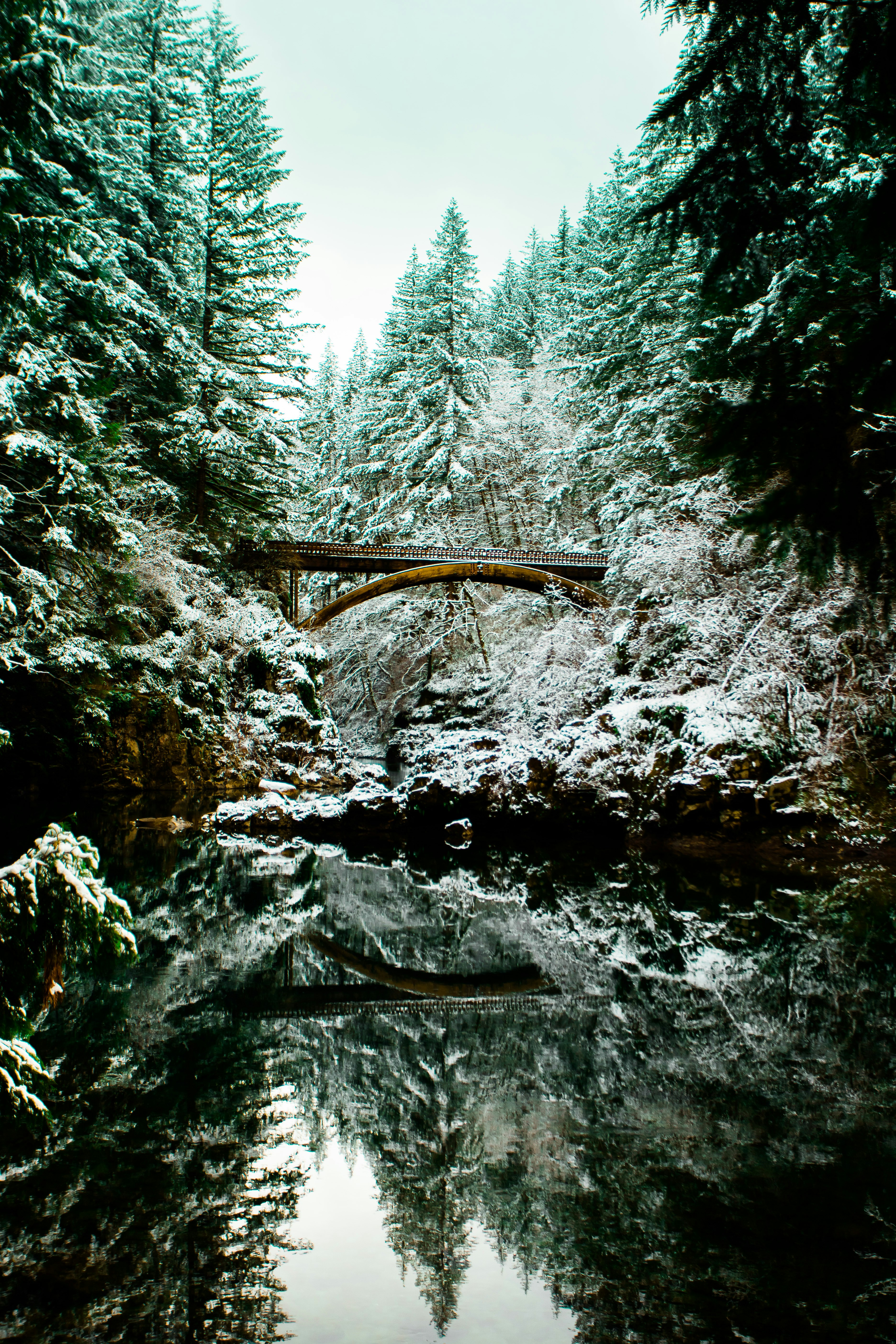 Snowy Forest Arch Bridge Reflection