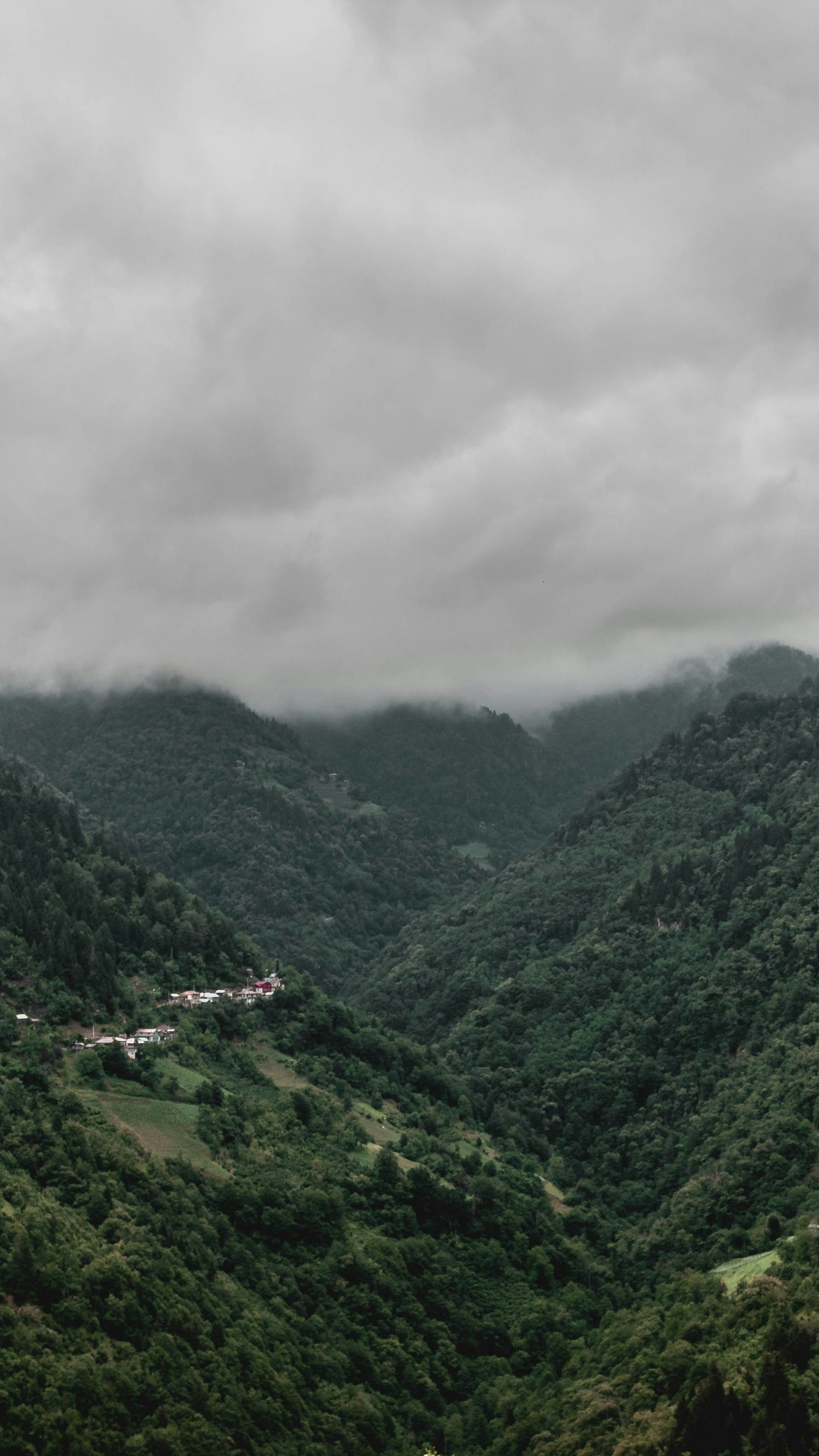 Landscapes