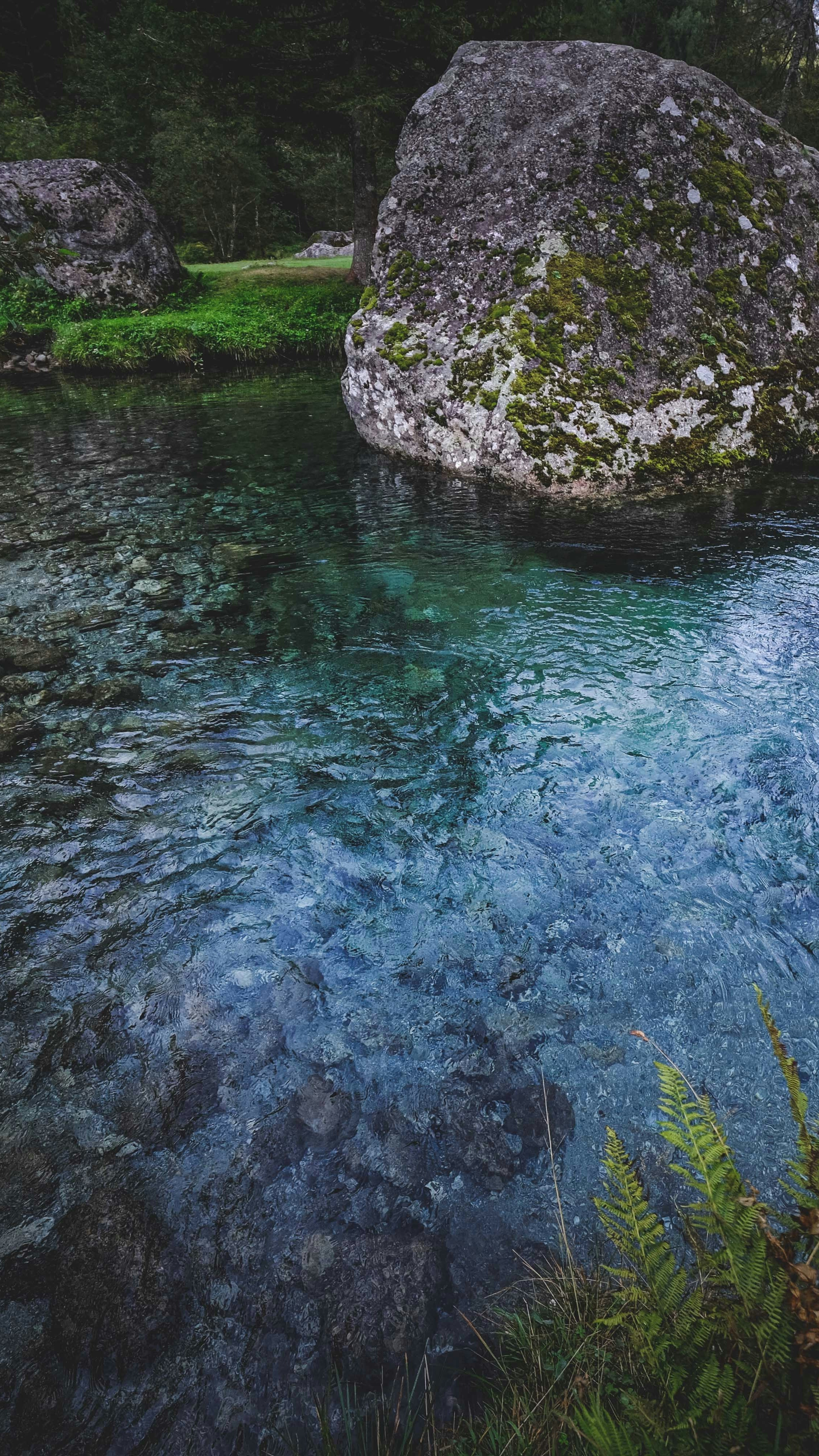Wallpapers