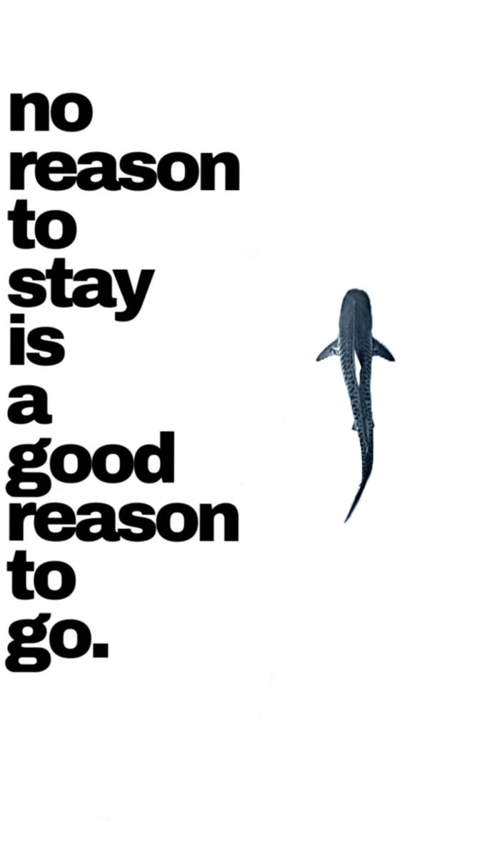 Motivational Quote with Whale Shark