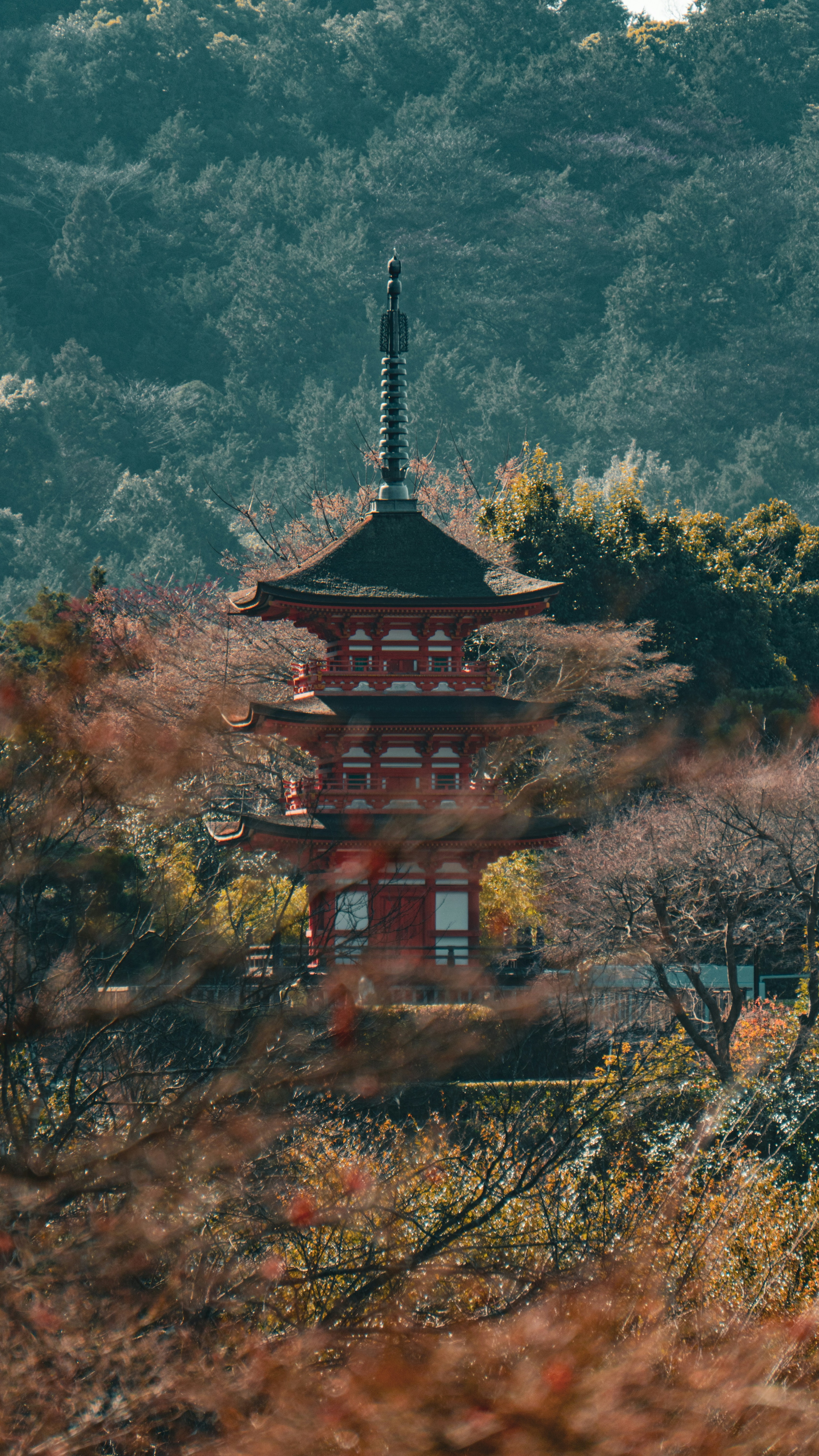 Wallpapers