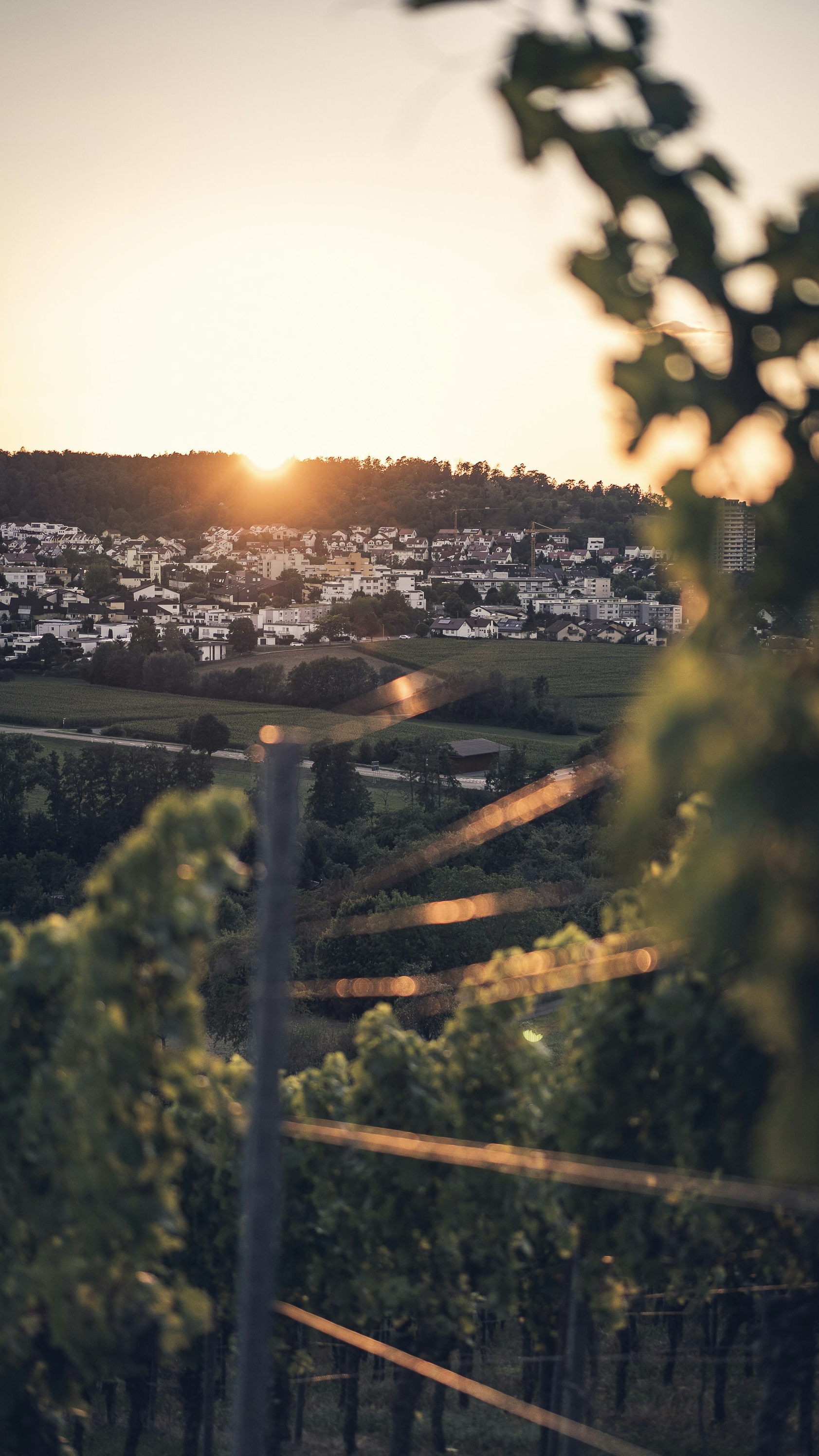Wallpapers