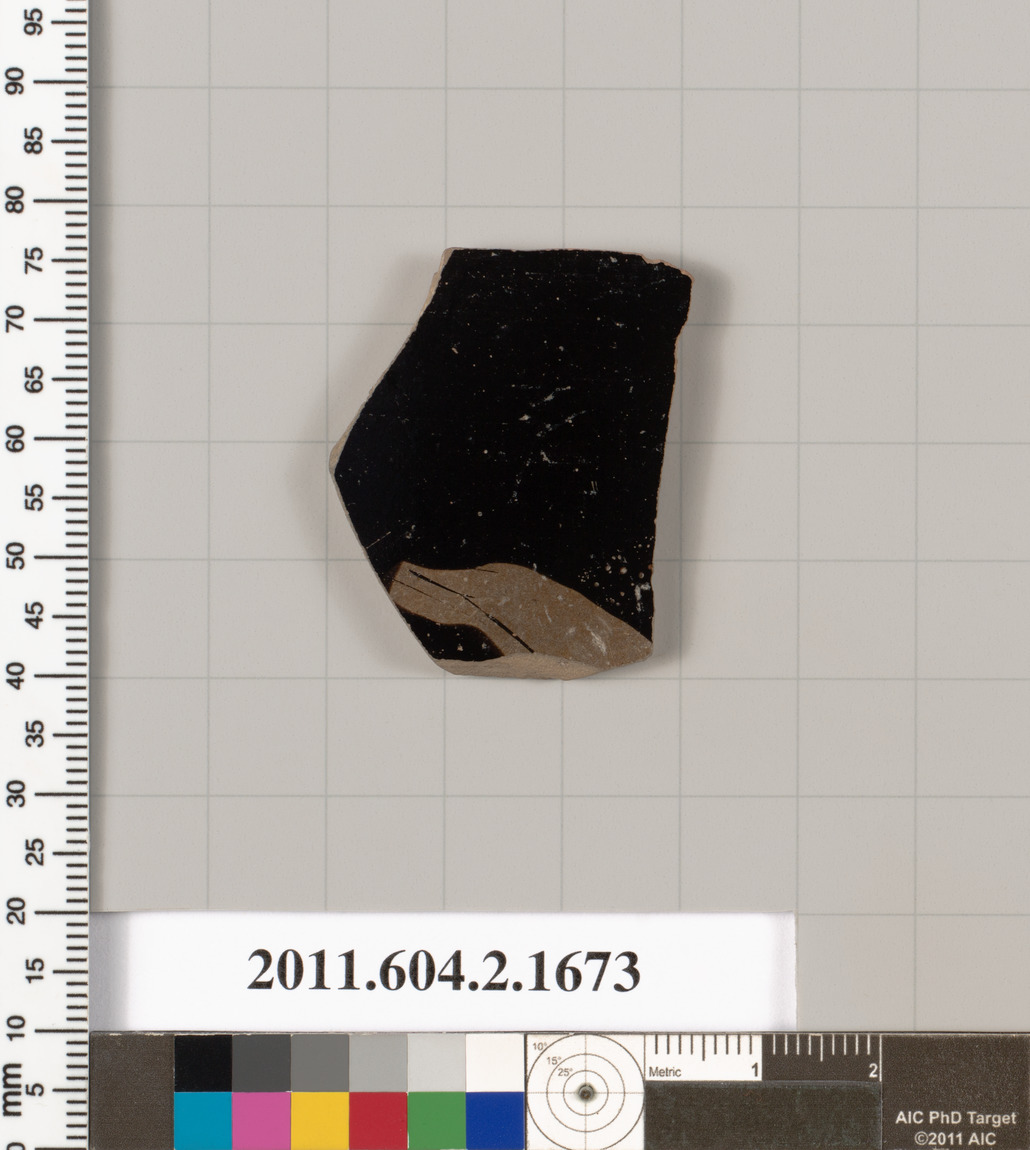 Archaeological Pottery Shard Specimen