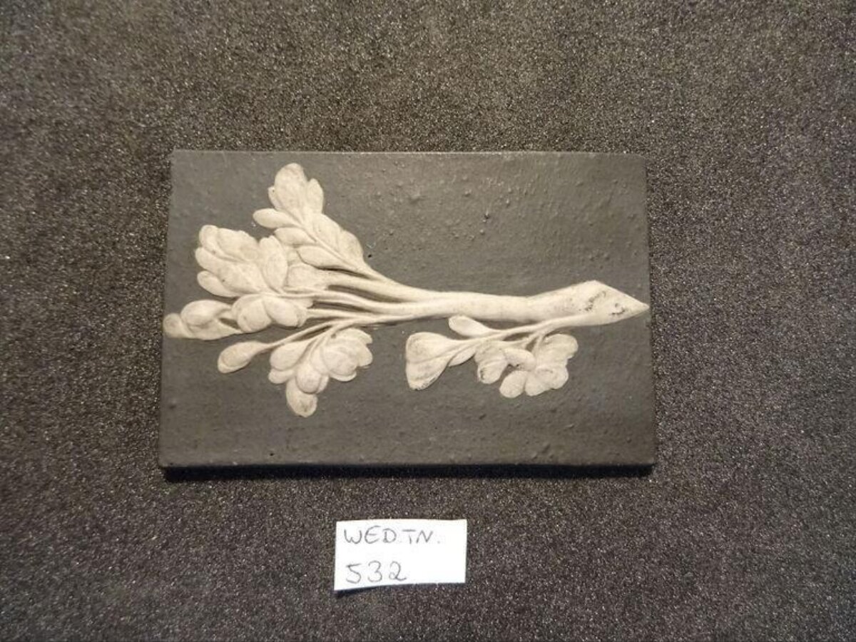 Relief Plant Specimen Plaque