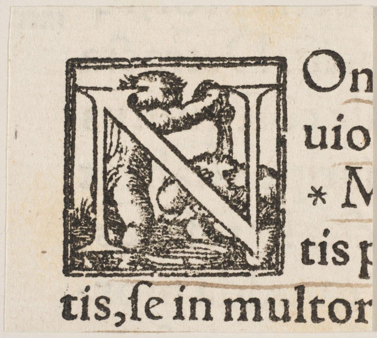 Woodcut Decorated Initial Letter N