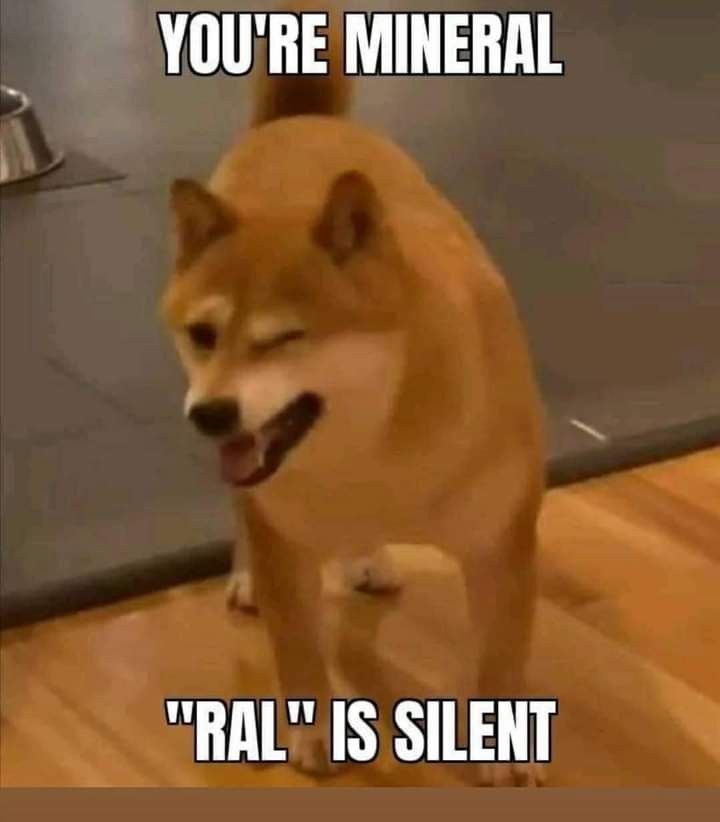 Winking Shiba Inu Pun Meme