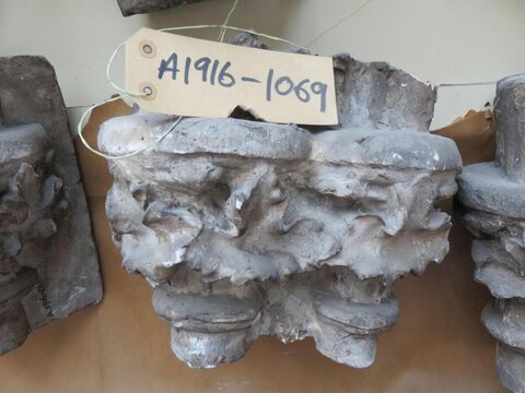 Museum Accessioned Stone Capital Fragment